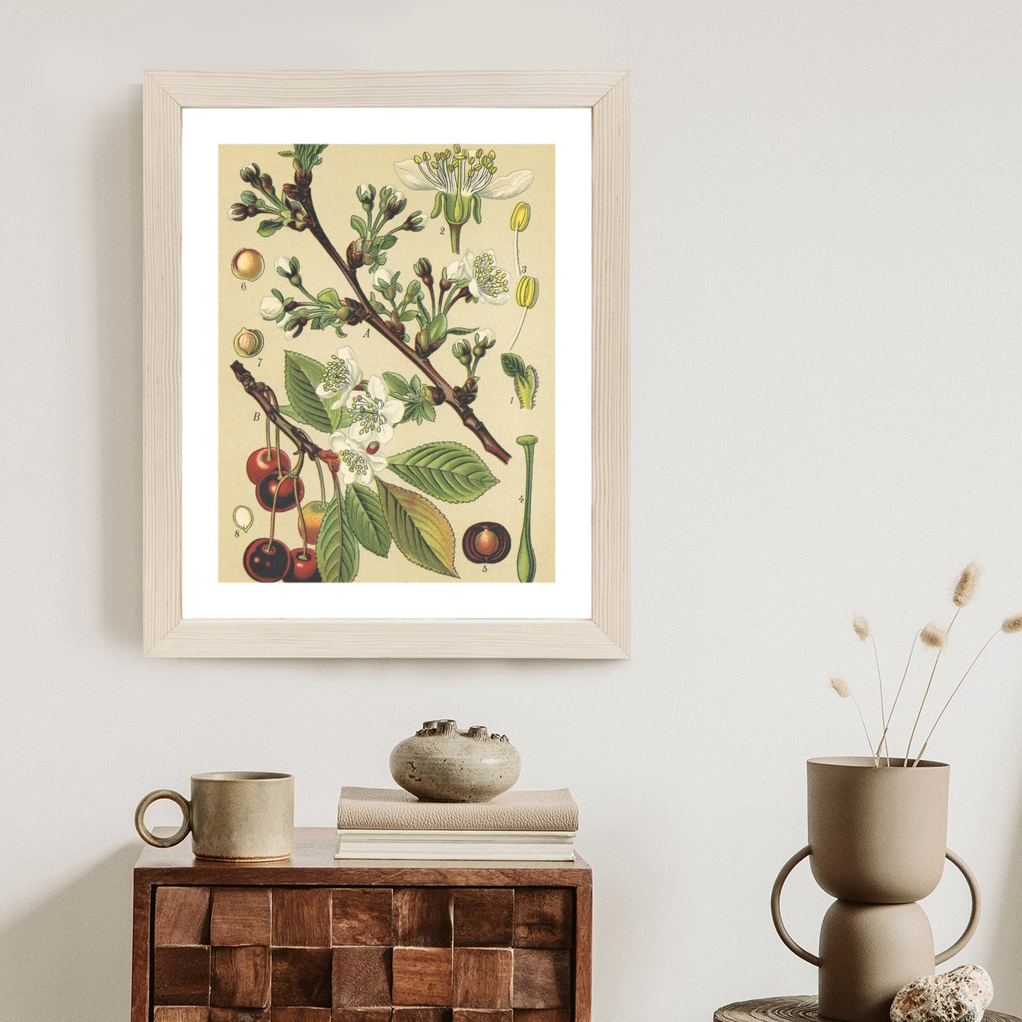 Poster Vintage Botanische Illustration Von Kirschblüten Rahmen Holz Mit Passepartout Farbe Natürlich