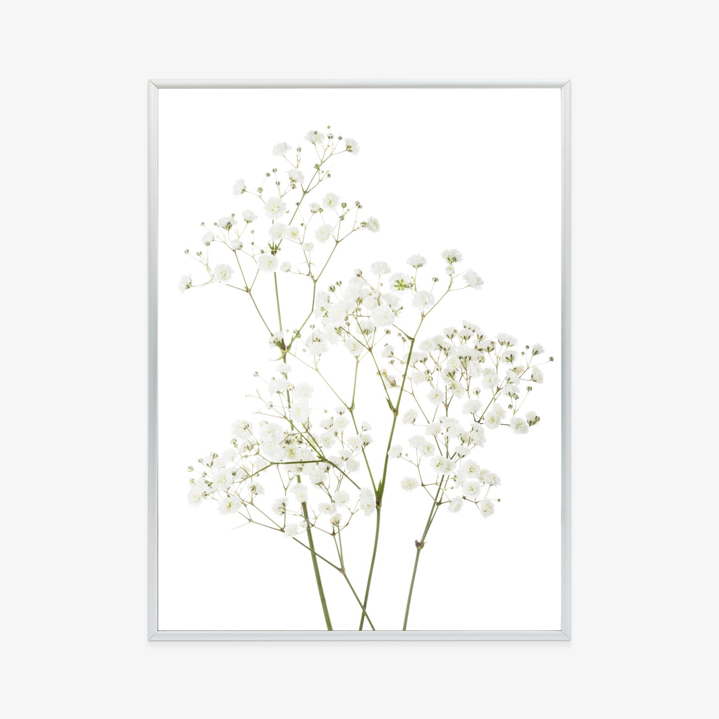 Poster Vier Zweige Mit Kleinen Weißen Blüten
