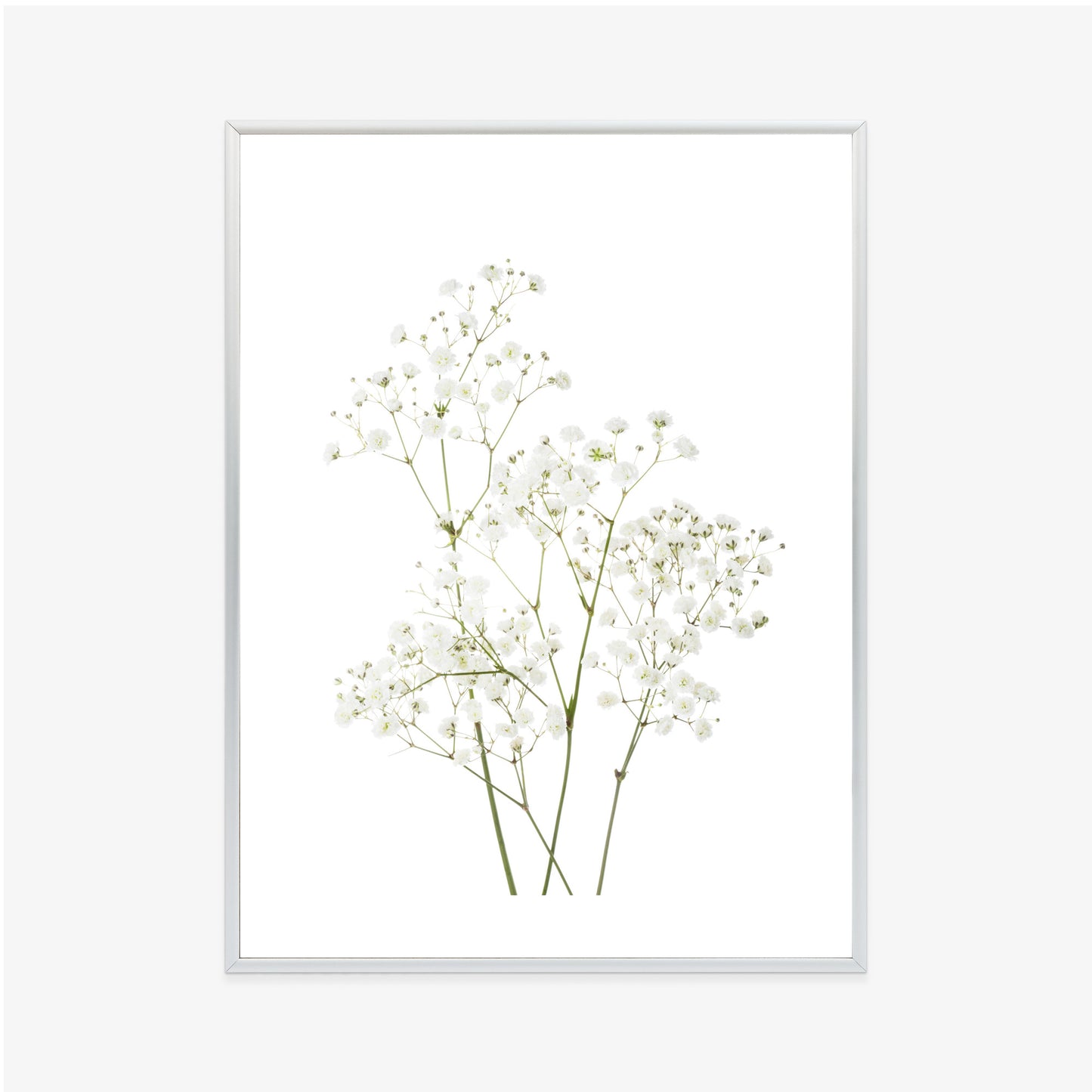 Poster Vier Zweige Mit Kleinen Weißen Blüten