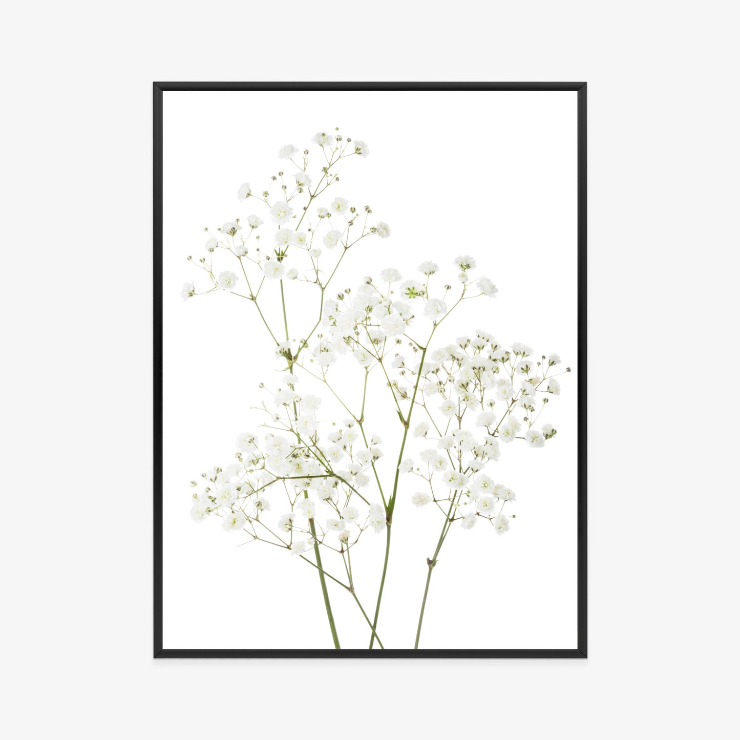 Poster Vier Zweige Mit Kleinen Weißen Blüten