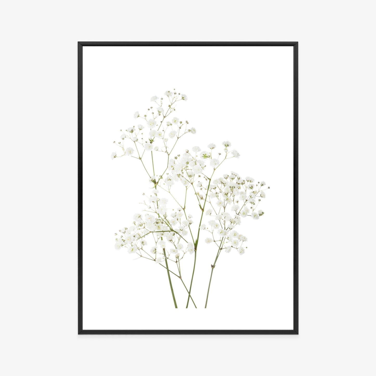Poster Vier Zweige Mit Kleinen Weißen Blüten