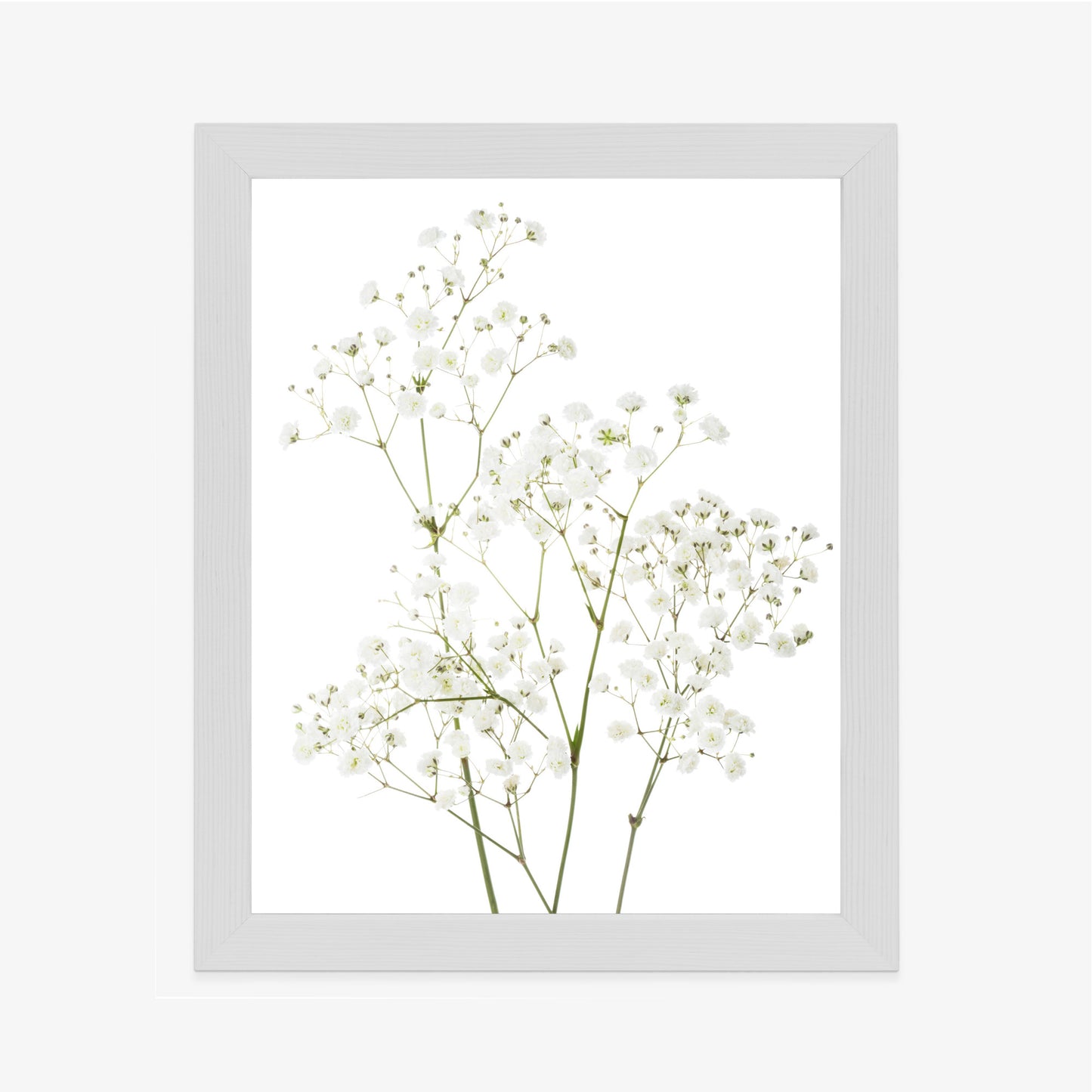 Poster Vier Zweige Mit Kleinen Weißen Blüten