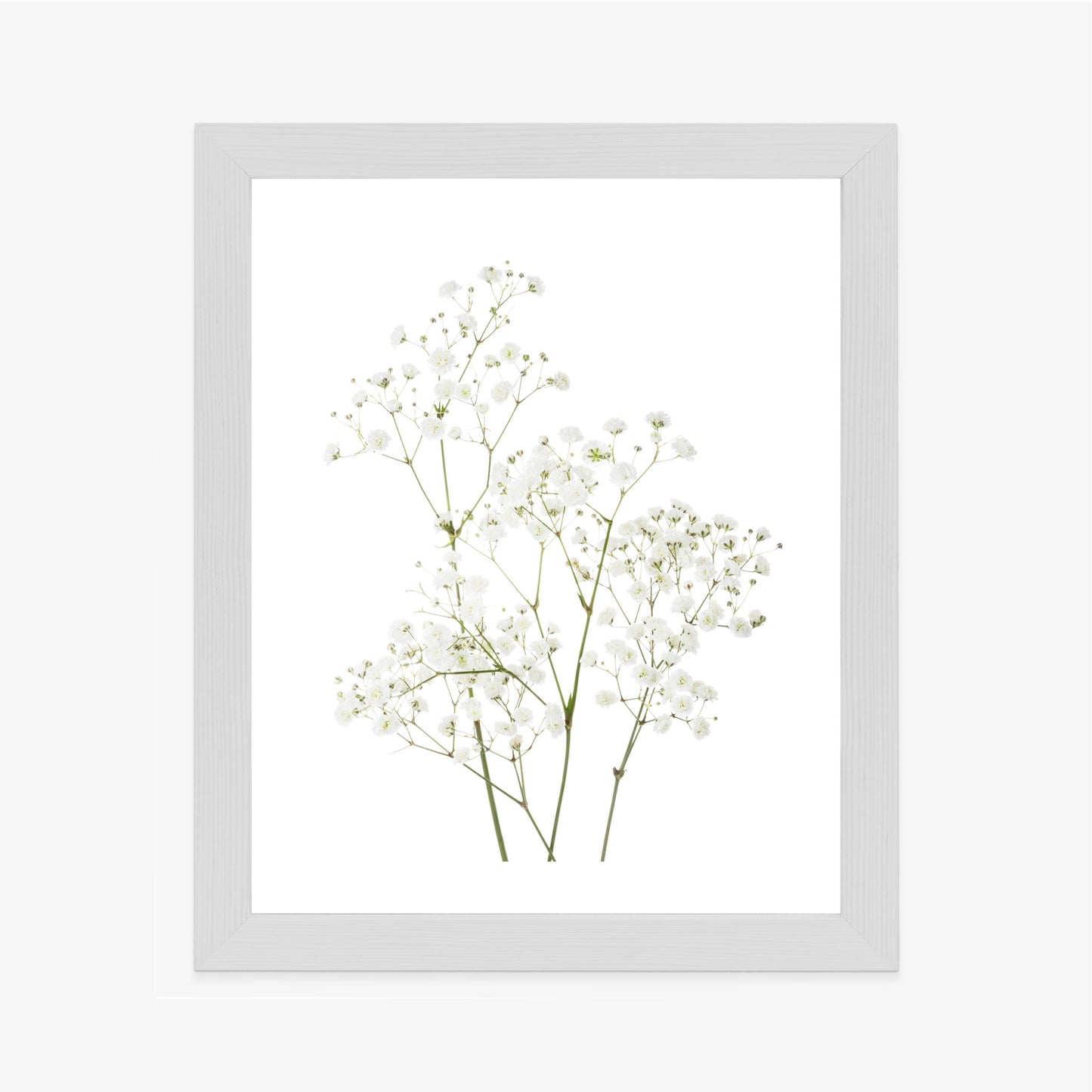 Poster Vier Zweige Mit Kleinen Weißen Blüten