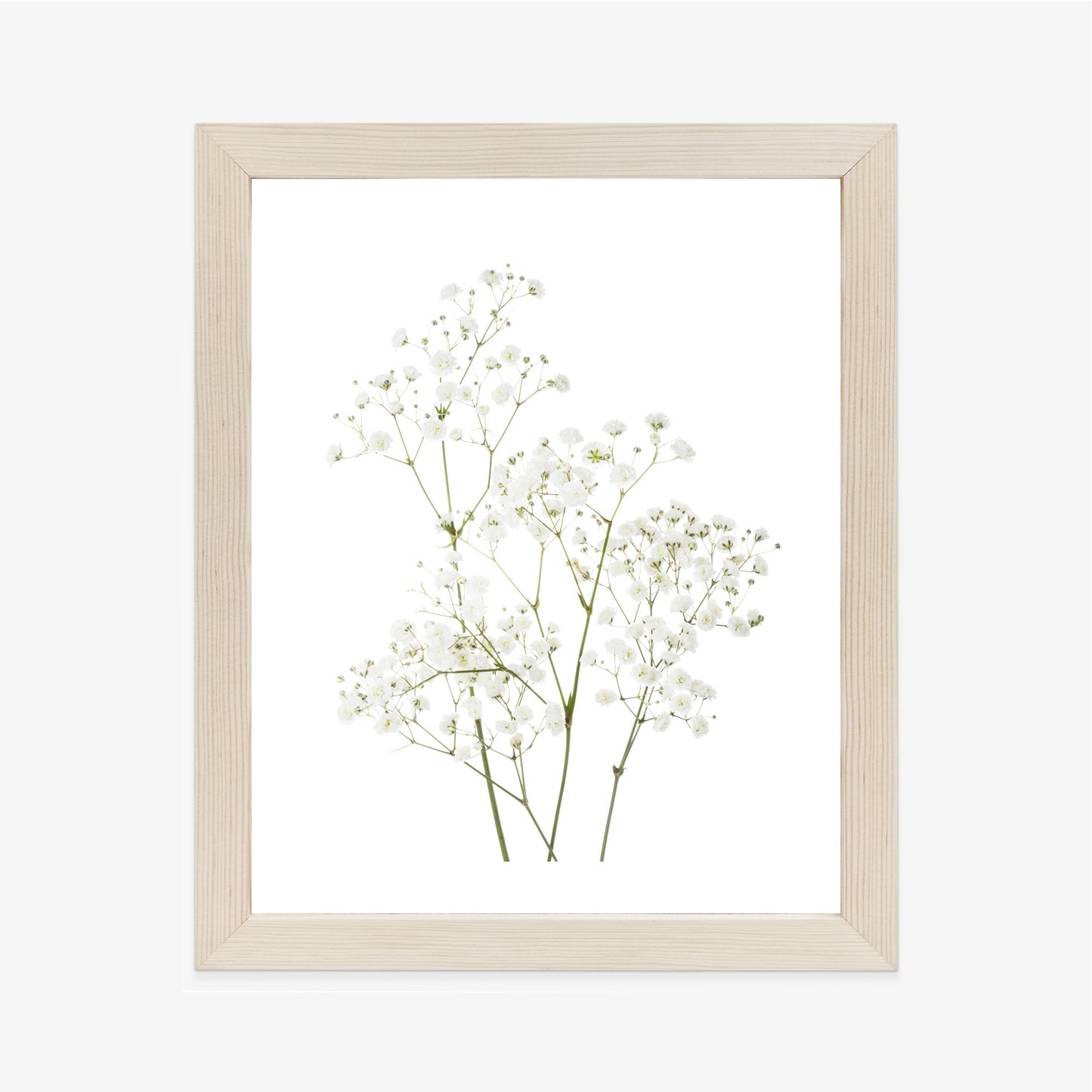 Poster Vier Zweige Mit Kleinen Weißen Blüten
