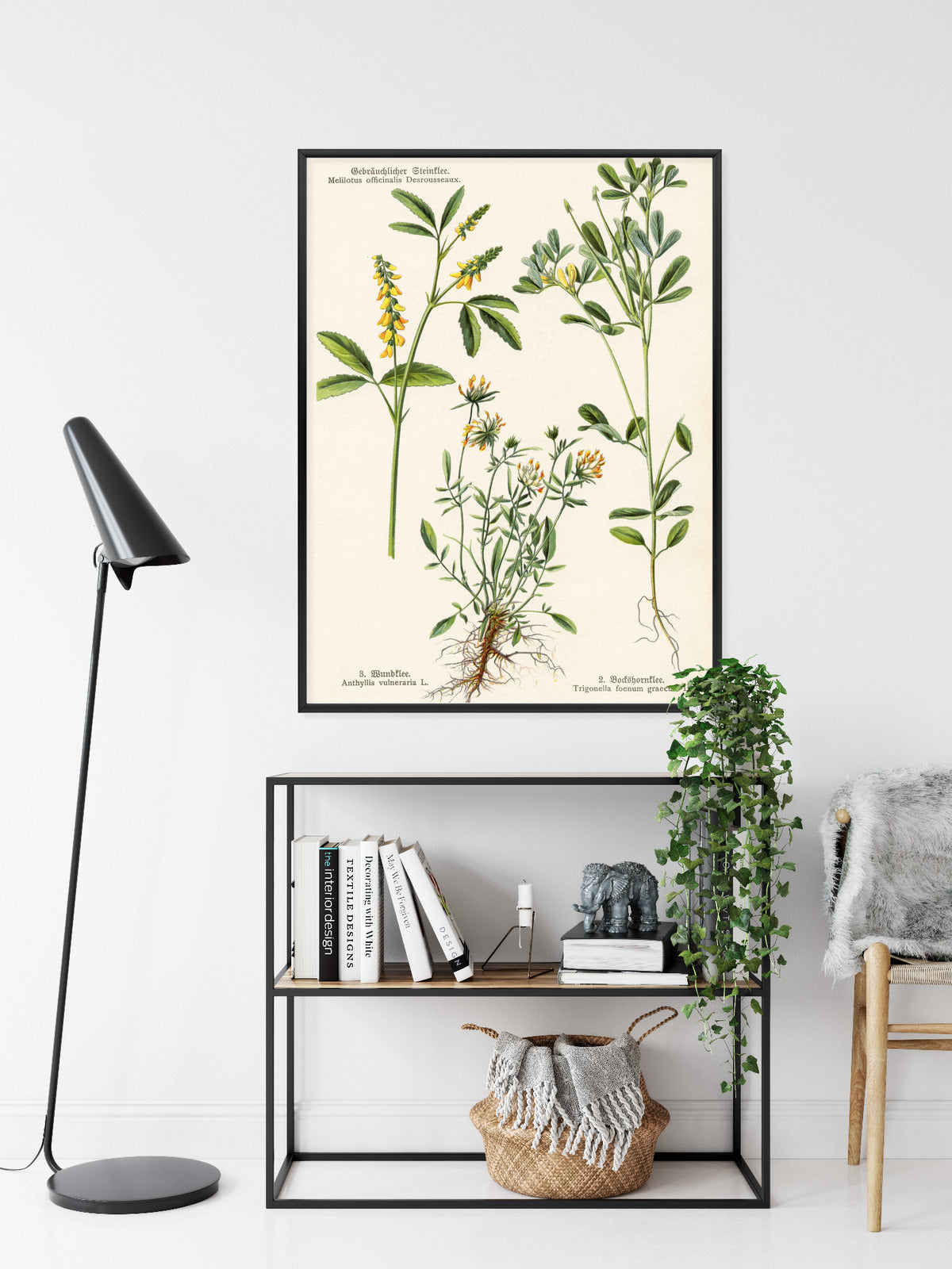 Poster Verschiedene Botanische Pflanzen Rahmen Holz Mit Passepartout Farbe Natürlich