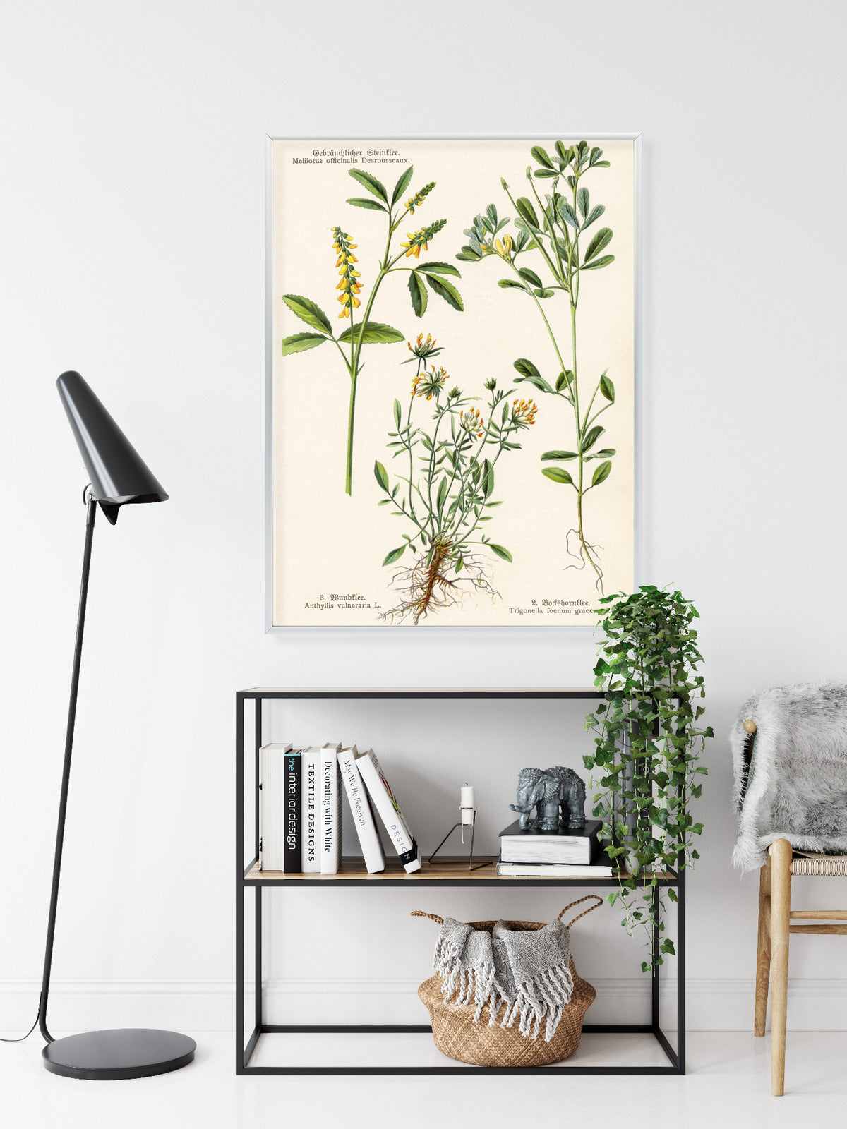 Poster Verschiedene Botanische Pflanzen Rahmen Holz Mit Passepartout Farbe Natürlich