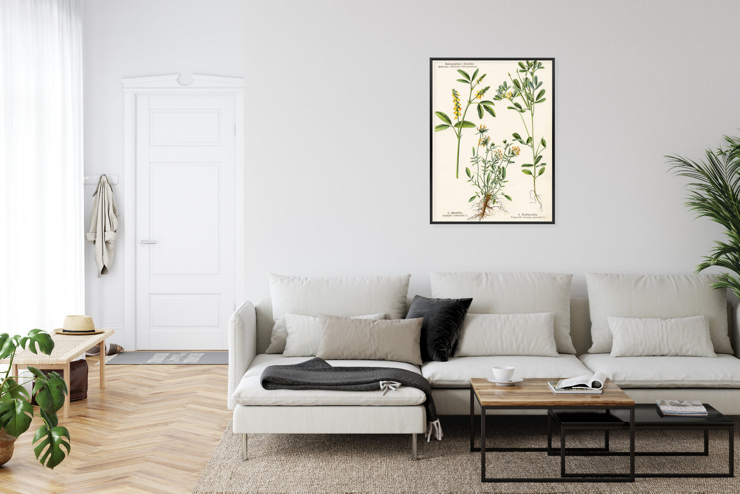 Poster Verschiedene Botanische Pflanzen Rahmen Holz Mit Passepartout Farbe Natürlich