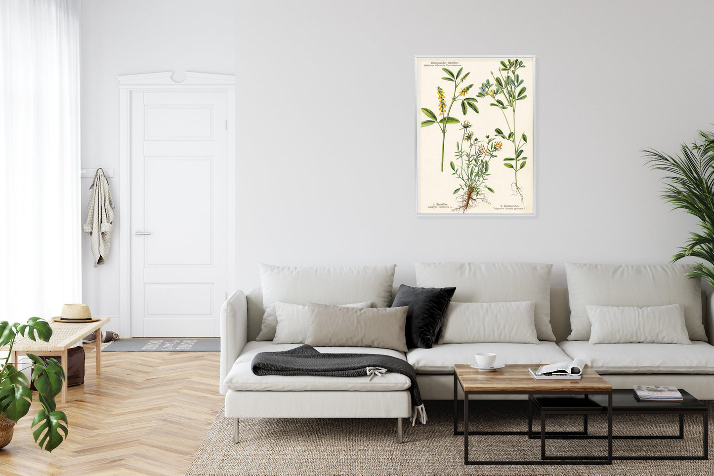Poster Verschiedene Botanische Pflanzen Rahmen Holz Mit Passepartout Farbe Natürlich