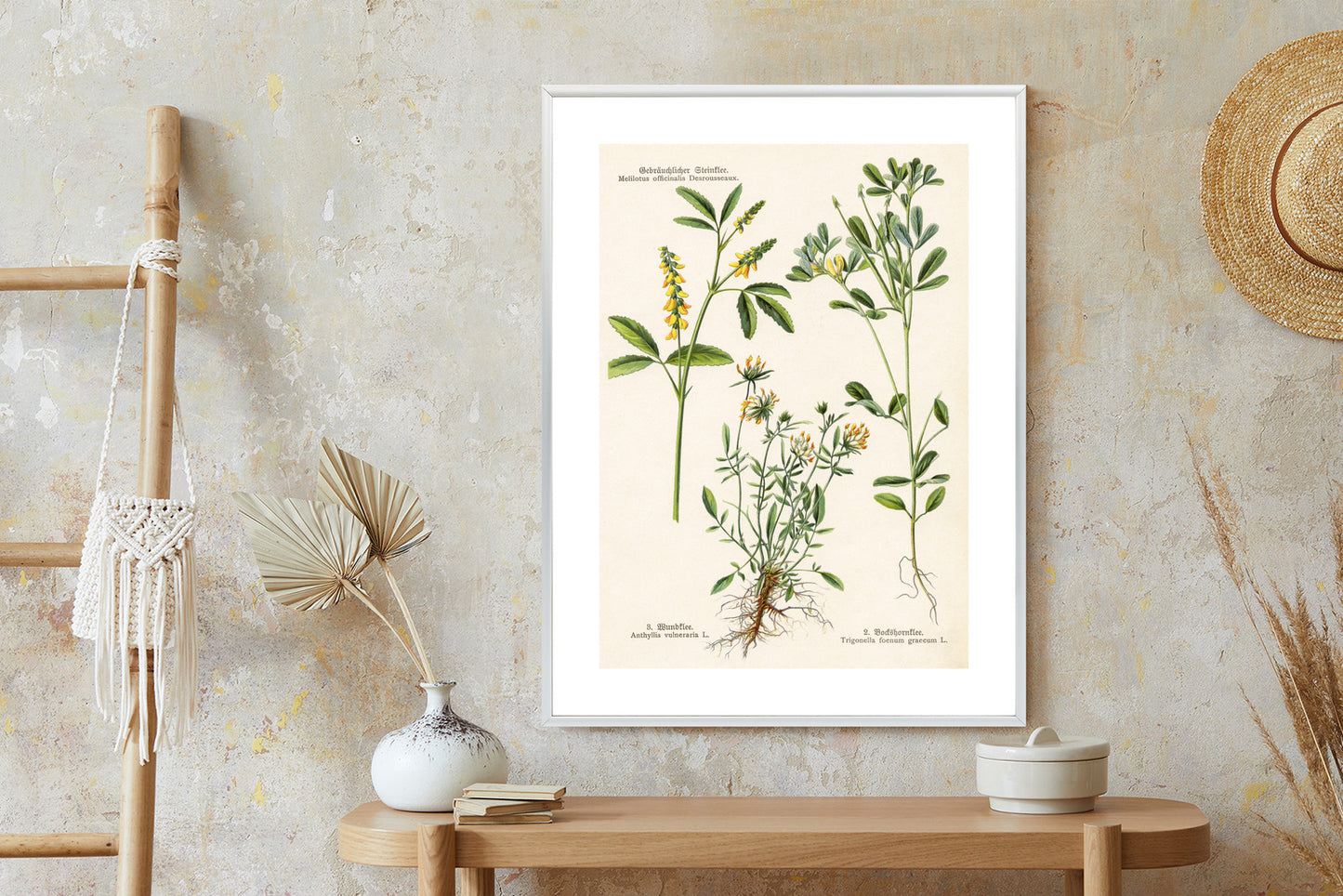Poster Verschiedene Botanische Pflanzen Rahmen Holz Mit Passepartout Farbe Natürlich