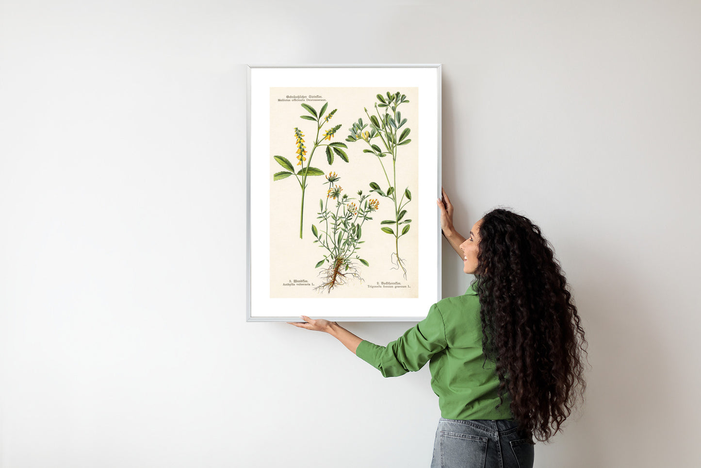 Poster Verschiedene Botanische Pflanzen Rahmen Holz Mit Passepartout Farbe Natürlich