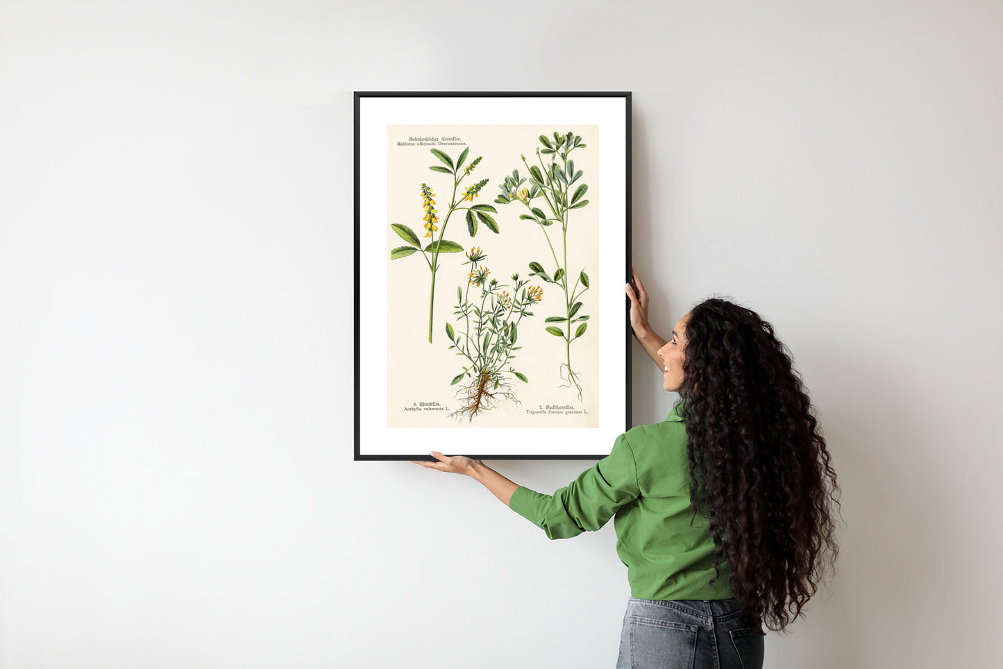 Poster Verschiedene Botanische Pflanzen Rahmen Holz Mit Passepartout Farbe Natürlich