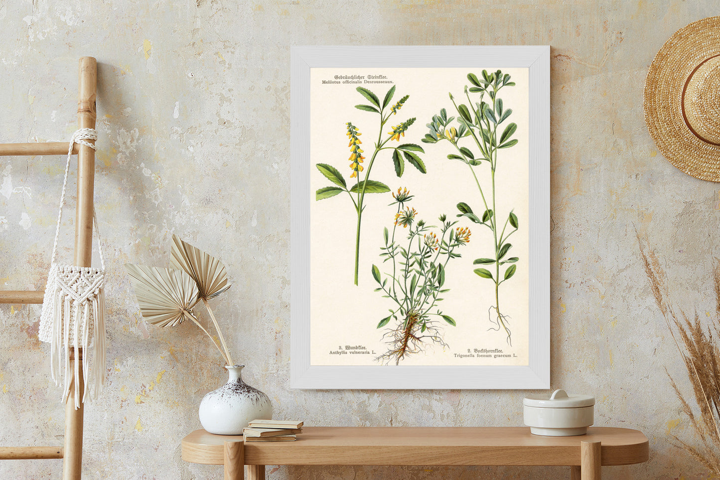Poster Verschiedene Botanische Pflanzen Rahmen Holz Mit Passepartout Farbe Natürlich
