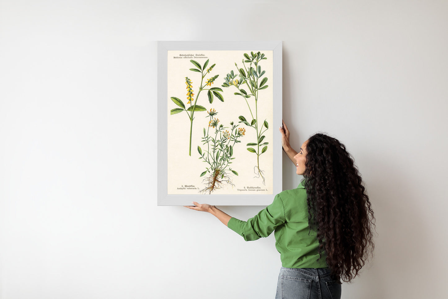Poster Verschiedene Botanische Pflanzen Rahmen Holz Mit Passepartout Farbe Natürlich