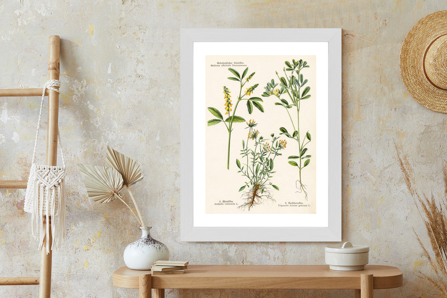 Poster Verschiedene Botanische Pflanzen Rahmen Holz Mit Passepartout Farbe Natürlich