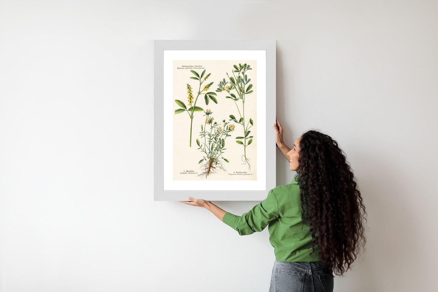 Poster Verschiedene Botanische Pflanzen Rahmen Holz Mit Passepartout Farbe Natürlich