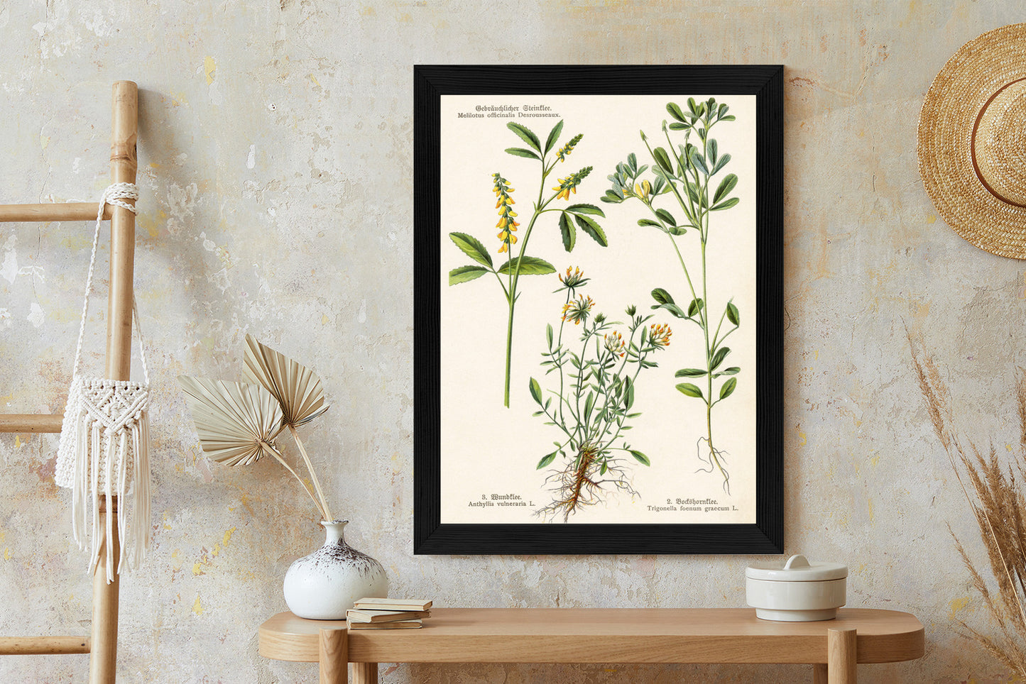 Poster Verschiedene Botanische Pflanzen Rahmen Holz Mit Passepartout Farbe Natürlich