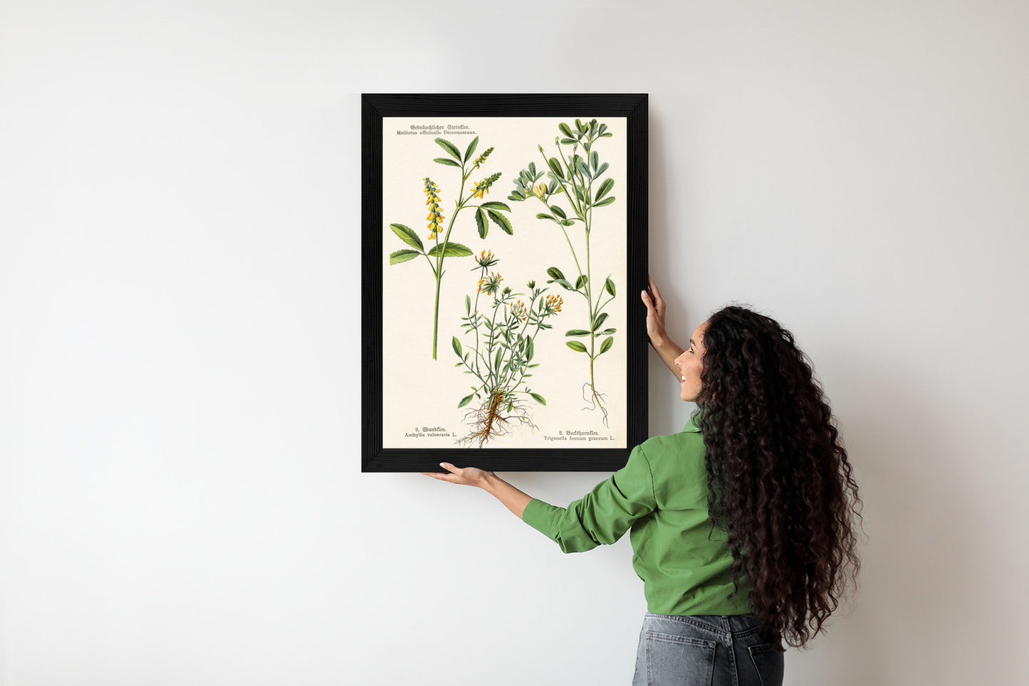 Poster Verschiedene Botanische Pflanzen Rahmen Holz Mit Passepartout Farbe Natürlich