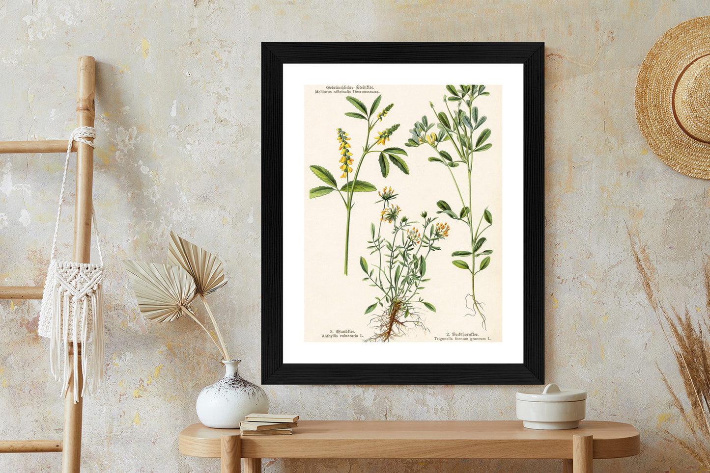Poster Verschiedene Botanische Pflanzen Rahmen Holz Mit Passepartout Farbe Natürlich
