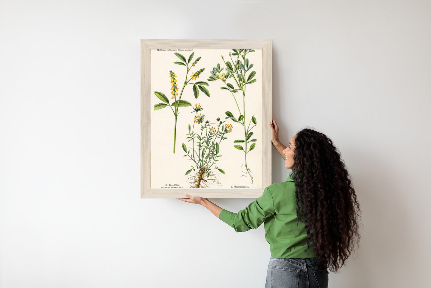 Poster Verschiedene Botanische Pflanzen Rahmen Holz Mit Passepartout Farbe Natürlich