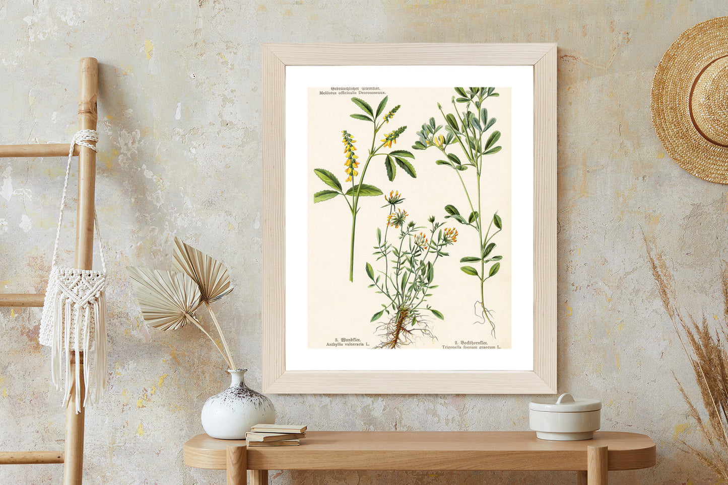 Poster Verschiedene Botanische Pflanzen Rahmen Holz Mit Passepartout Farbe Natürlich