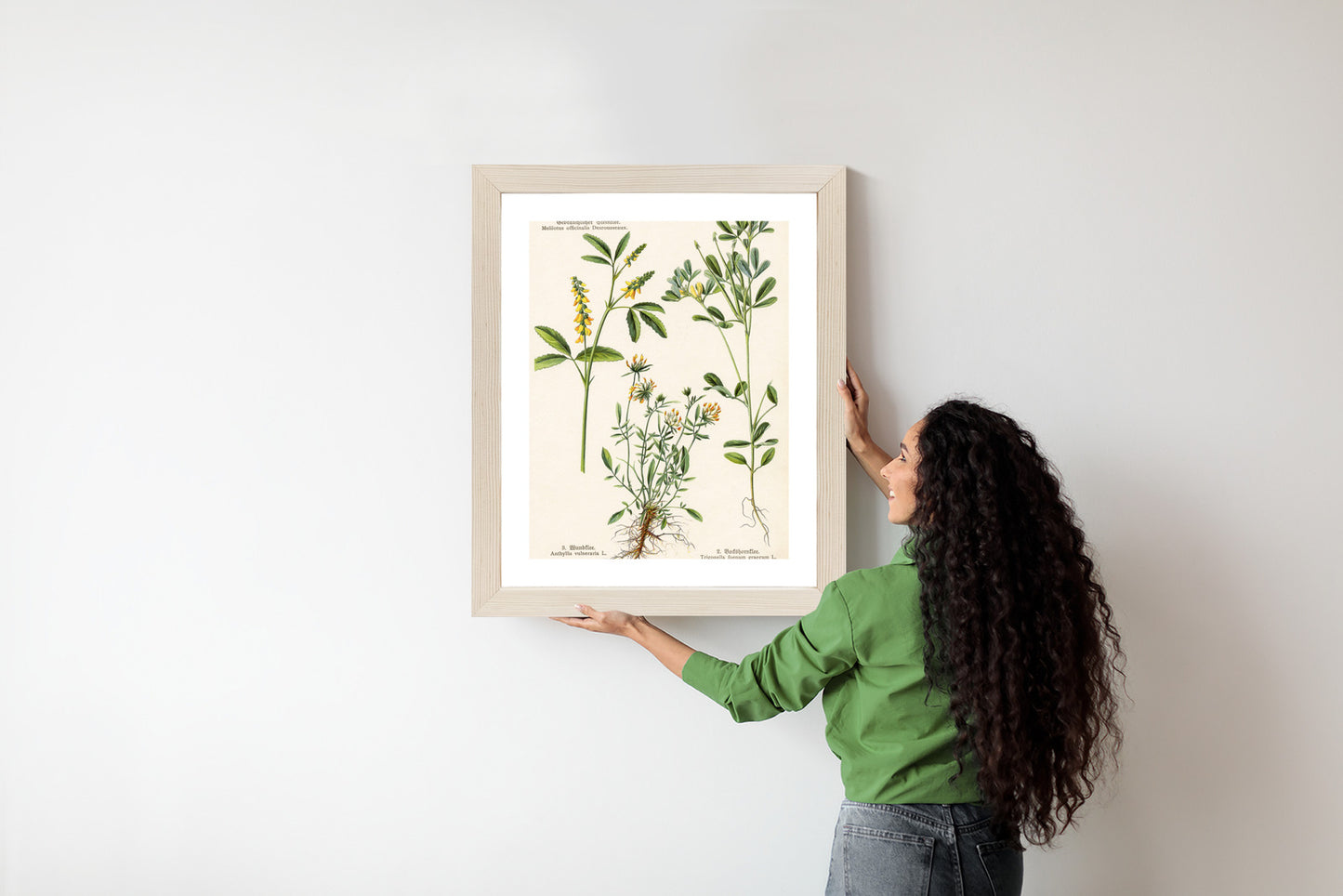 Poster Verschiedene Botanische Pflanzen Rahmen Holz Mit Passepartout Farbe Natürlich