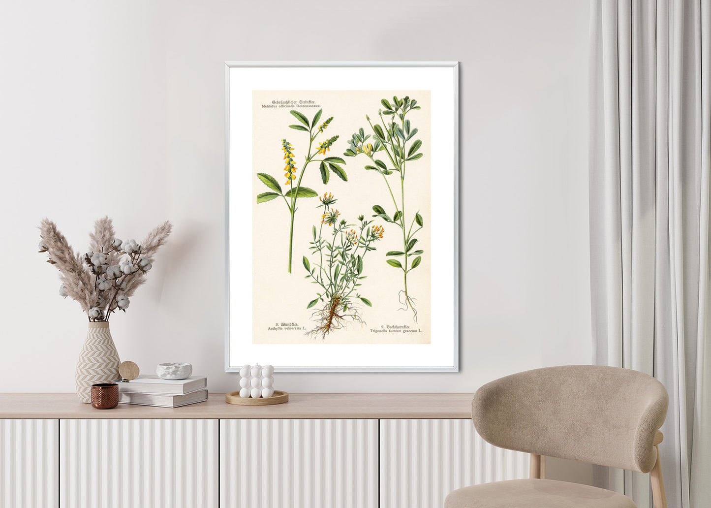 Poster Verschiedene Botanische Pflanzen Rahmen Holz Mit Passepartout Farbe Natürlich