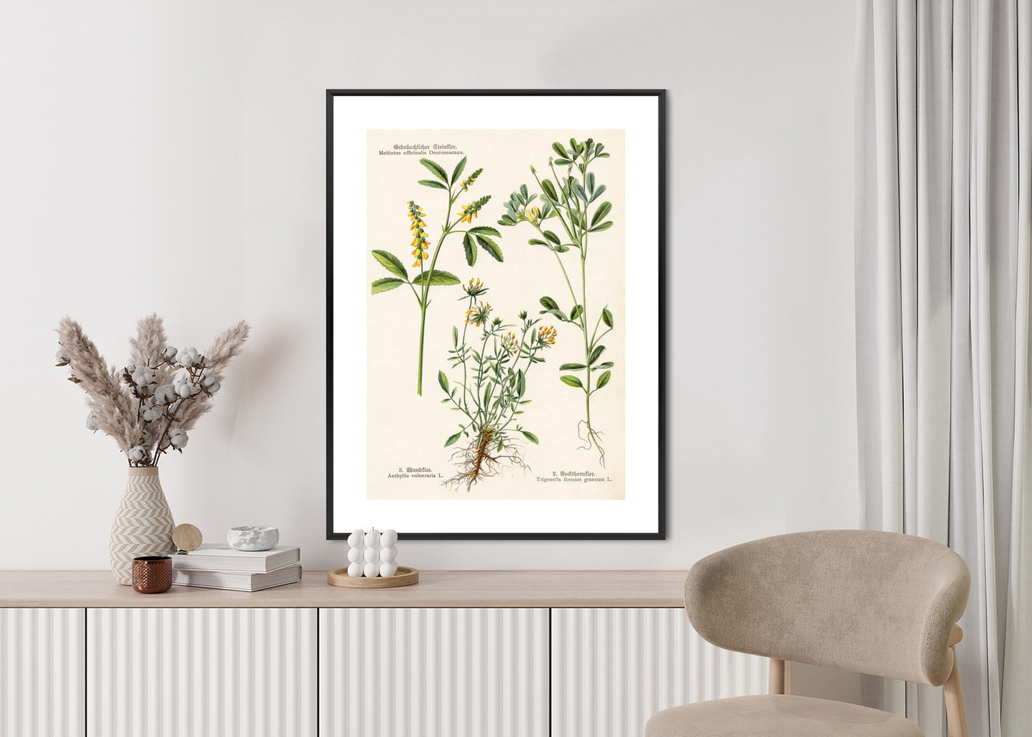 Poster Verschiedene Botanische Pflanzen Rahmen Holz Mit Passepartout Farbe Natürlich