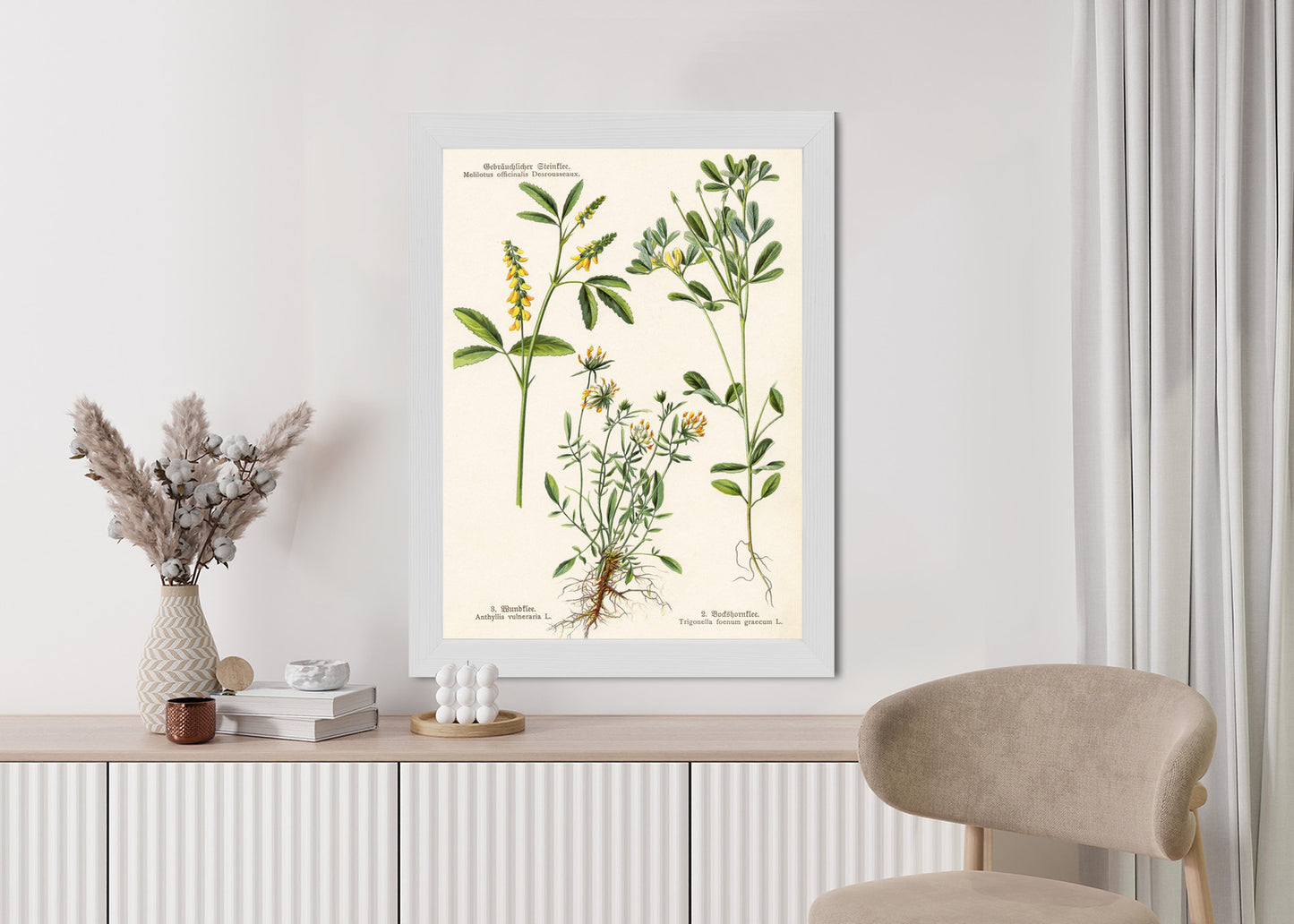 Poster Verschiedene Botanische Pflanzen Rahmen Holz Mit Passepartout Farbe Natürlich