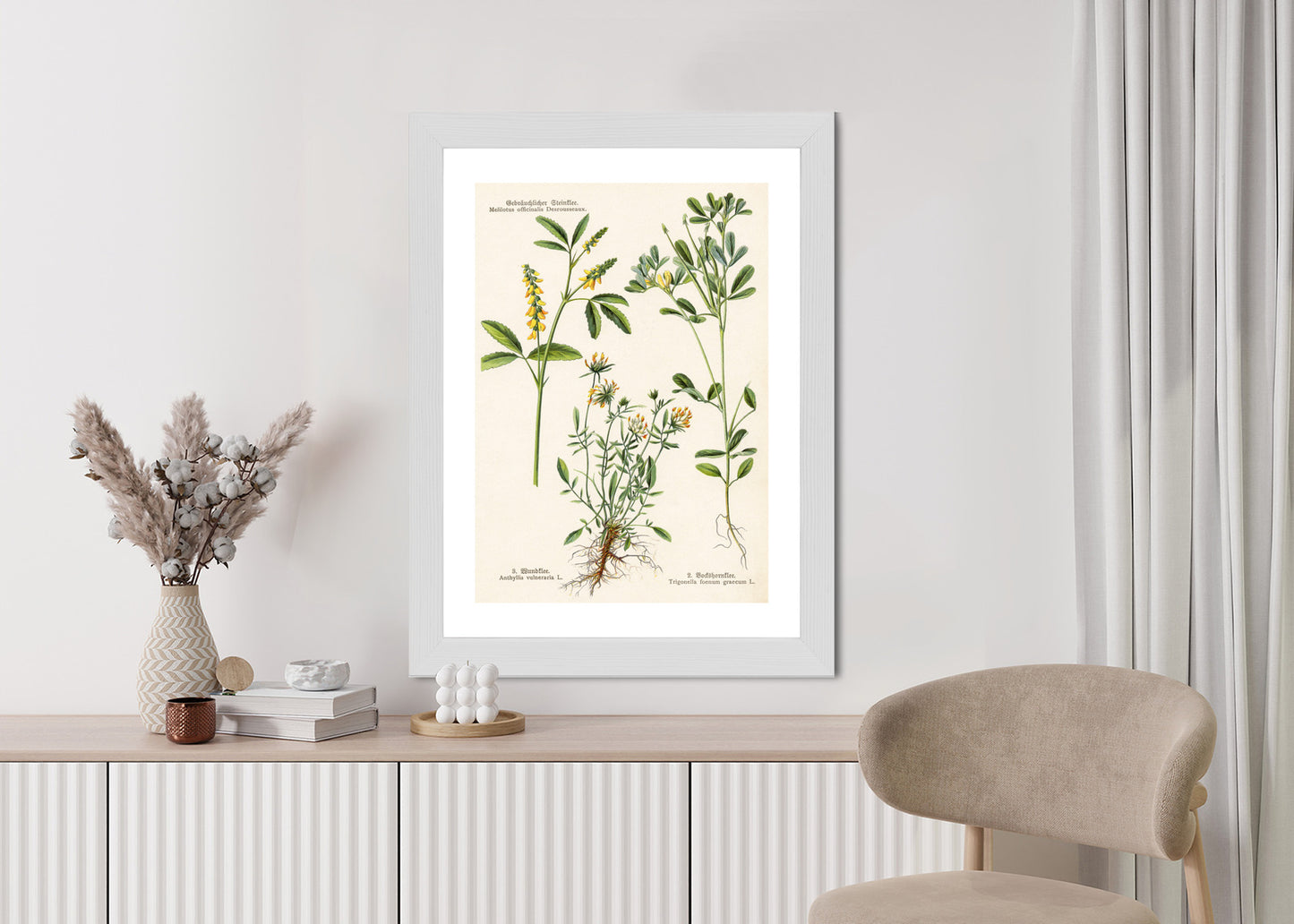 Poster Verschiedene Botanische Pflanzen Rahmen Holz Mit Passepartout Farbe Natürlich