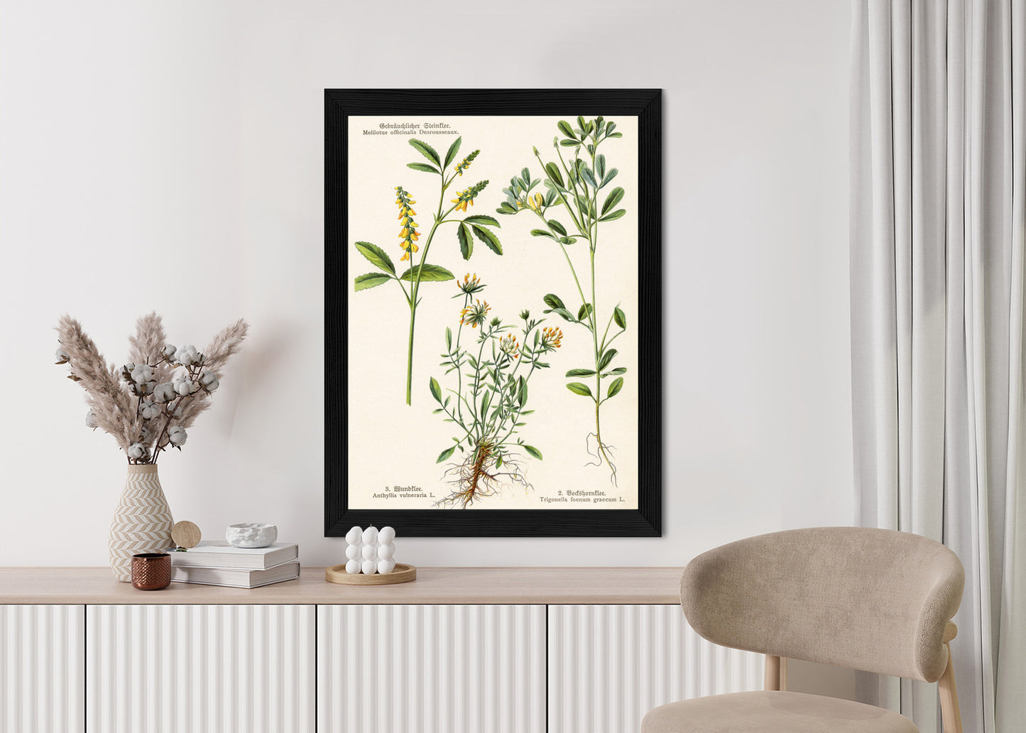 Poster Verschiedene Botanische Pflanzen Rahmen Holz Mit Passepartout Farbe Natürlich