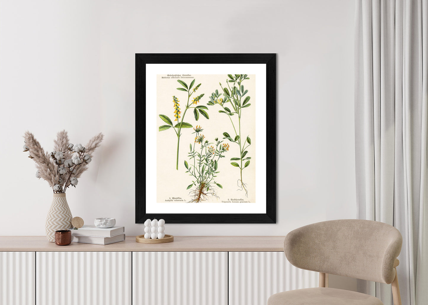 Poster Verschiedene Botanische Pflanzen Rahmen Holz Mit Passepartout Farbe Natürlich