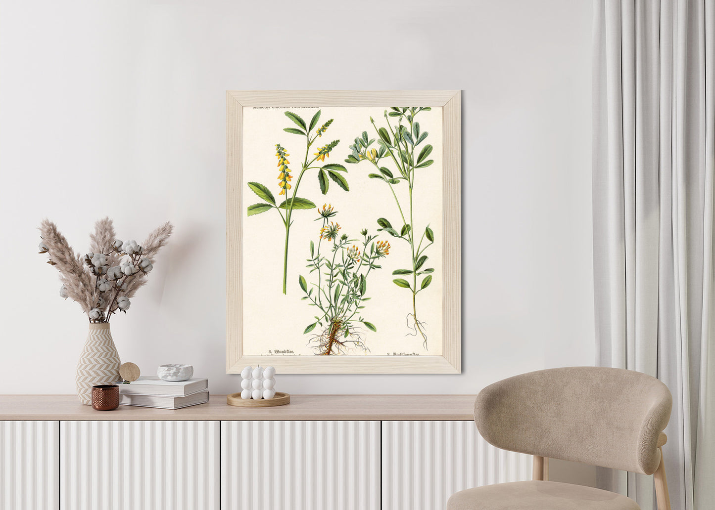 Poster Verschiedene Botanische Pflanzen Rahmen Holz Mit Passepartout Farbe Natürlich