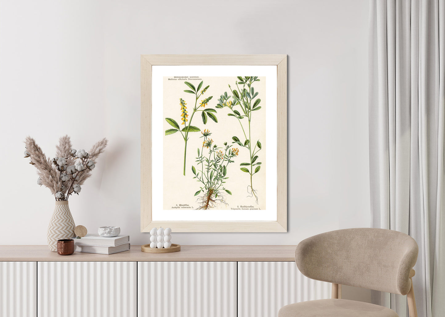 Poster Verschiedene Botanische Pflanzen Rahmen Holz Mit Passepartout Farbe Natürlich