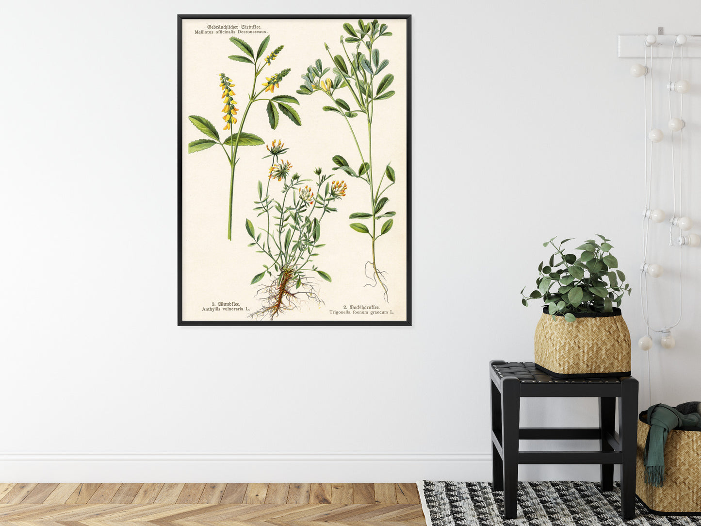 Poster Verschiedene Botanische Pflanzen Rahmen Holz Mit Passepartout Farbe Natürlich