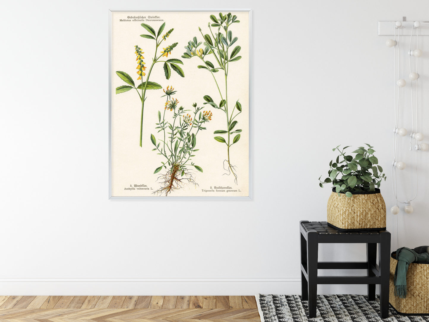 Poster Verschiedene Botanische Pflanzen Rahmen Holz Mit Passepartout Farbe Natürlich