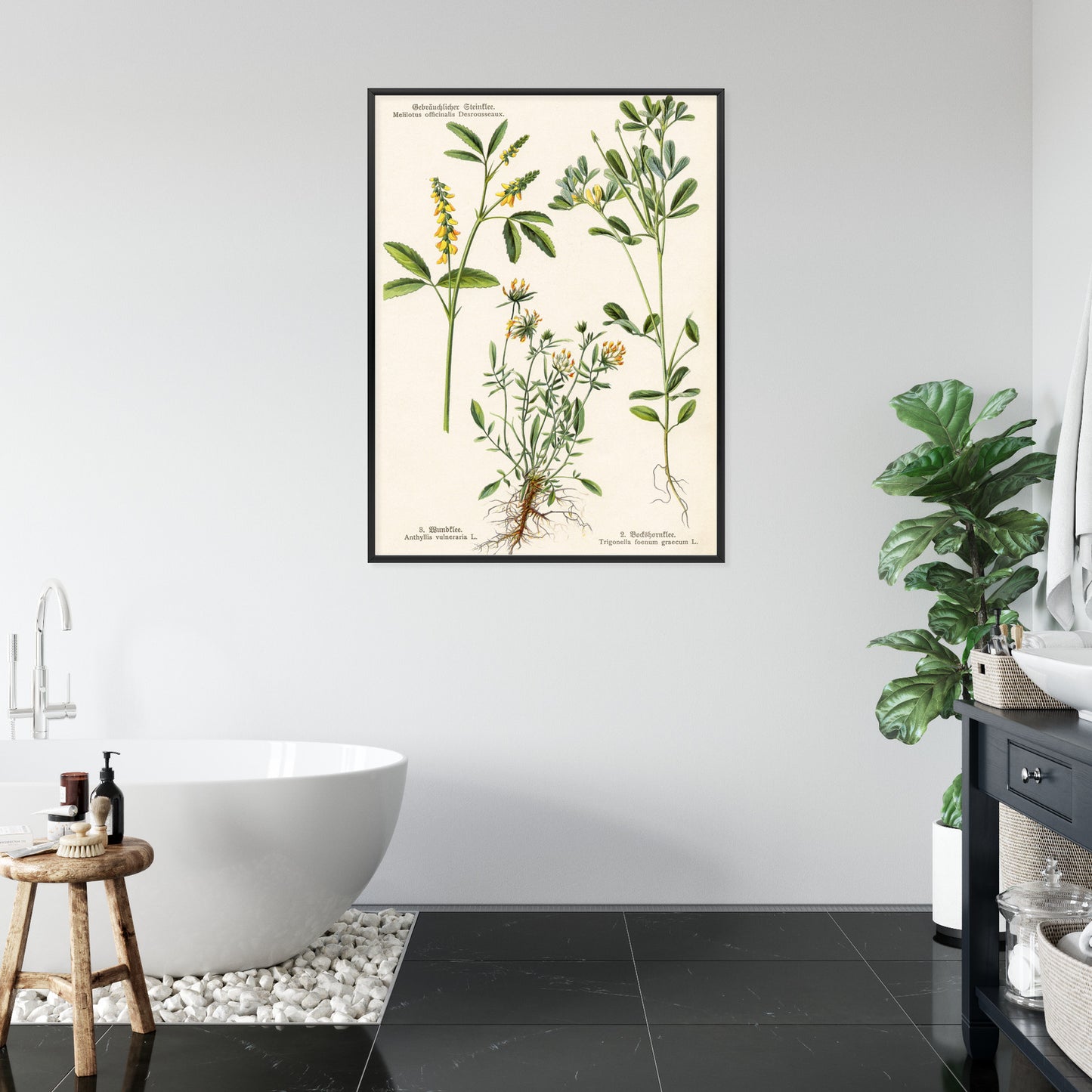 Poster Verschiedene Botanische Pflanzen Rahmen Holz Mit Passepartout Farbe Natürlich