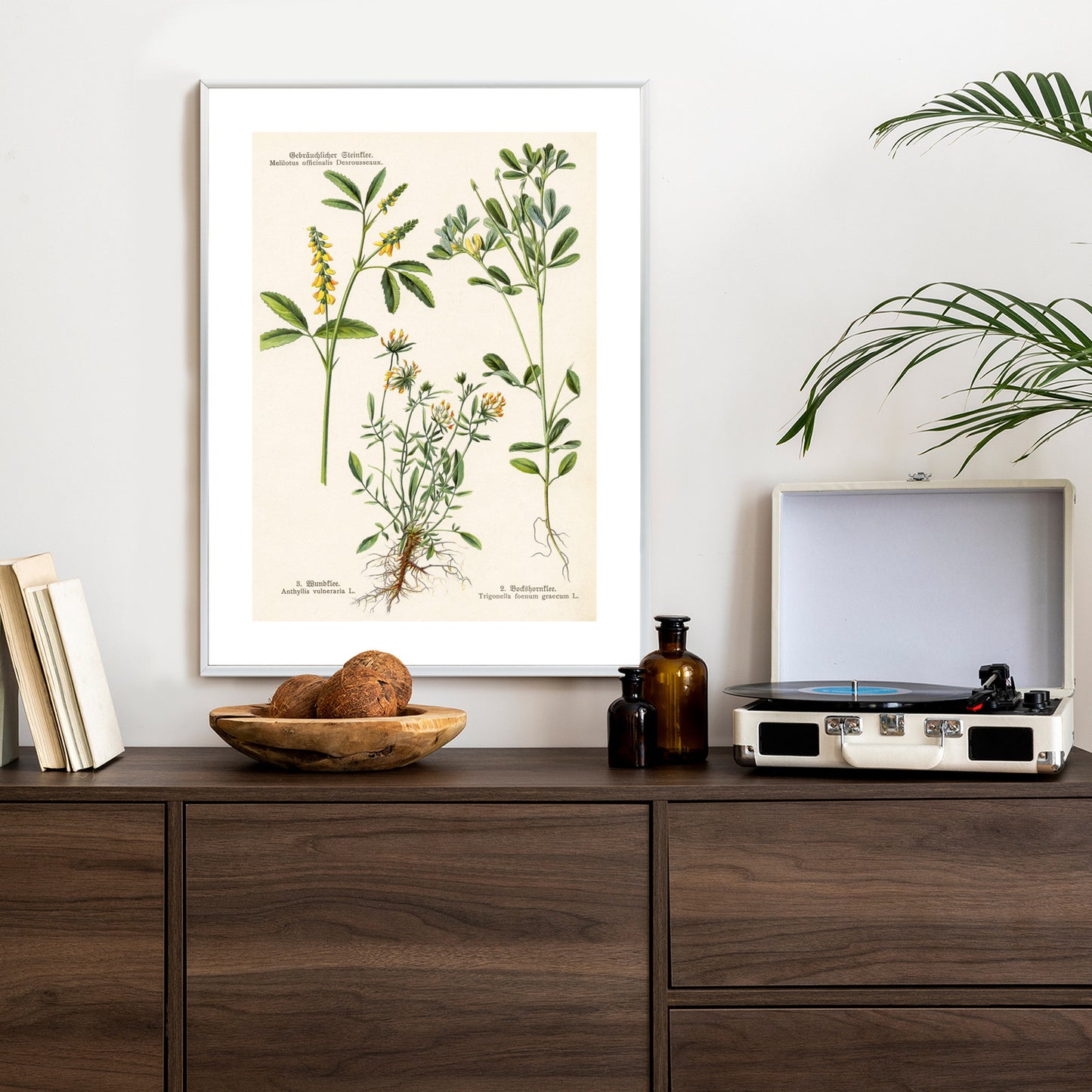 Poster Verschiedene Botanische Pflanzen Rahmen Holz Mit Passepartout Farbe Natürlich