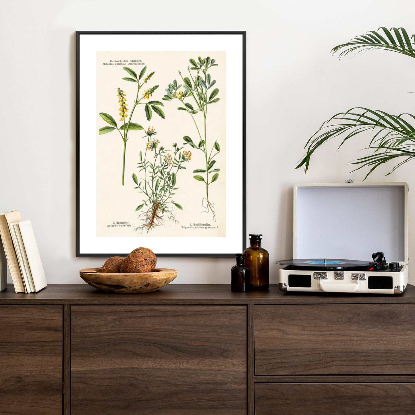 Poster Verschiedene Botanische Pflanzen Rahmen Holz Mit Passepartout Farbe Natürlich