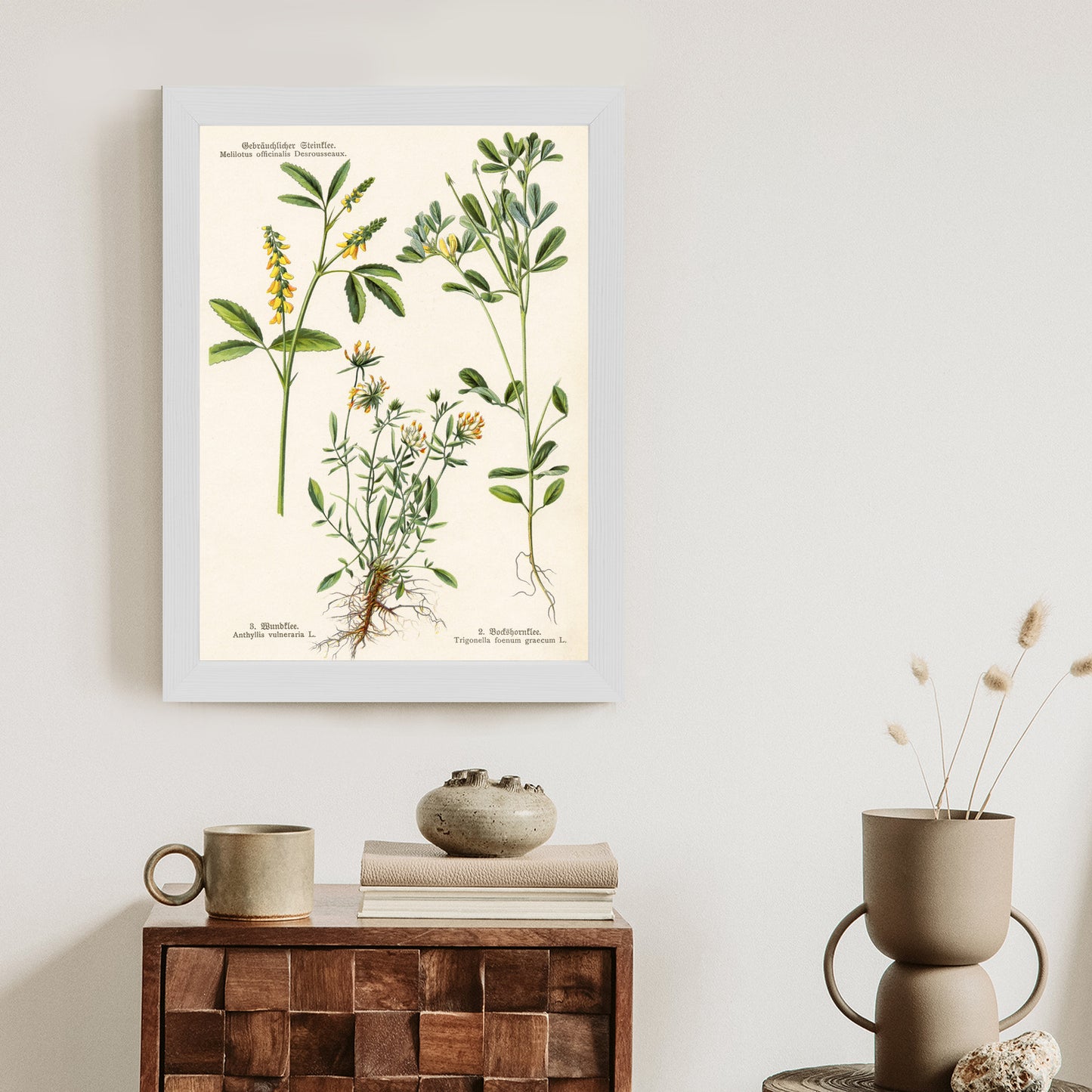Poster Verschiedene Botanische Pflanzen Rahmen Holz Mit Passepartout Farbe Natürlich