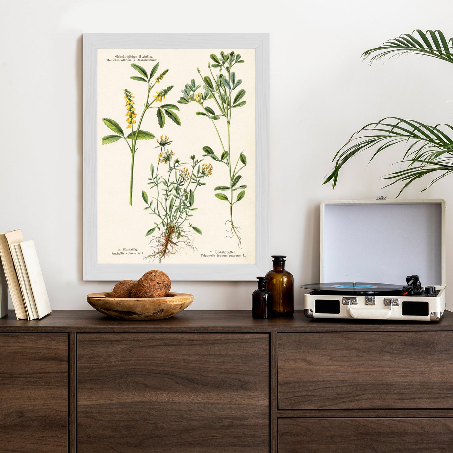 Poster Verschiedene Botanische Pflanzen Rahmen Holz Mit Passepartout Farbe Natürlich