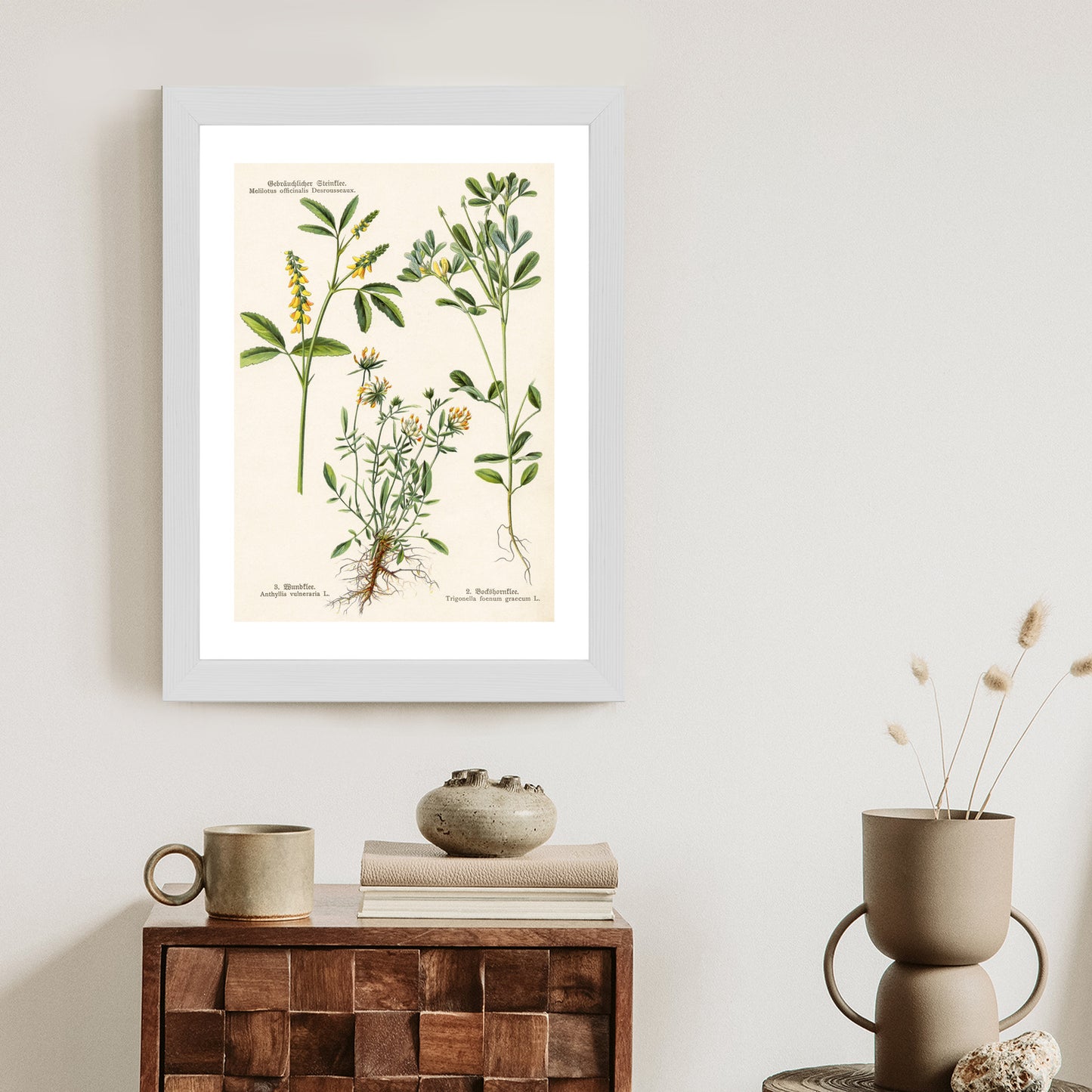 Poster Verschiedene Botanische Pflanzen Rahmen Holz Mit Passepartout Farbe Natürlich
