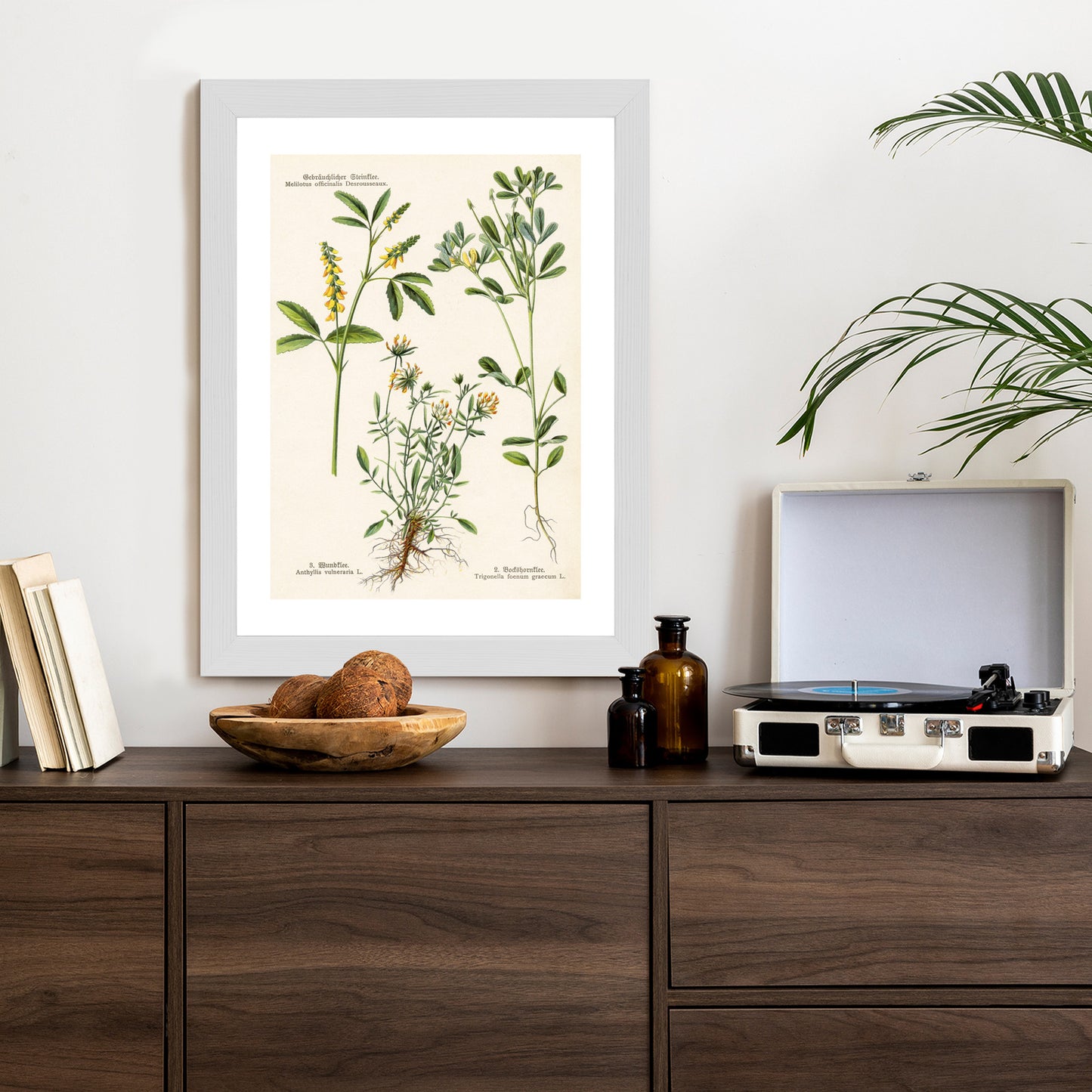 Poster Verschiedene Botanische Pflanzen Rahmen Holz Mit Passepartout Farbe Natürlich