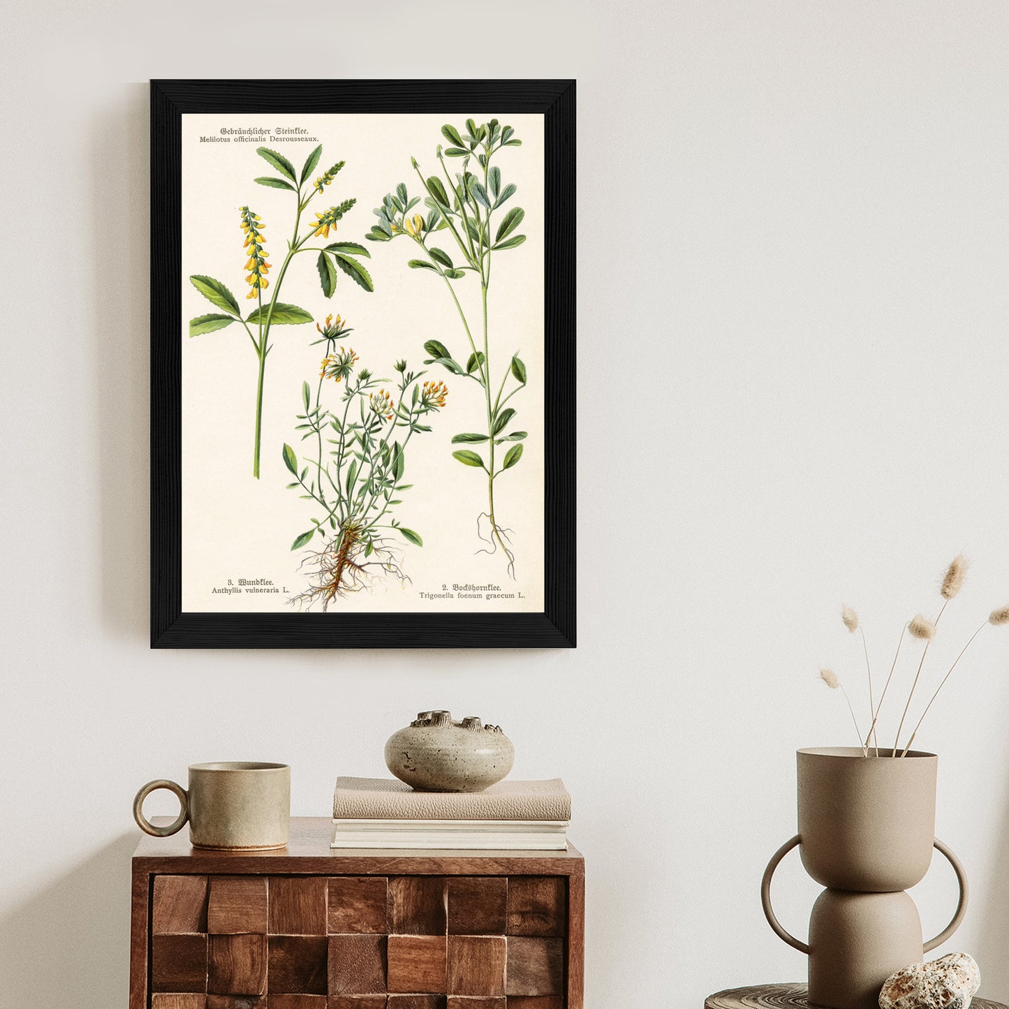 Poster Verschiedene Botanische Pflanzen Rahmen Holz Mit Passepartout Farbe Natürlich