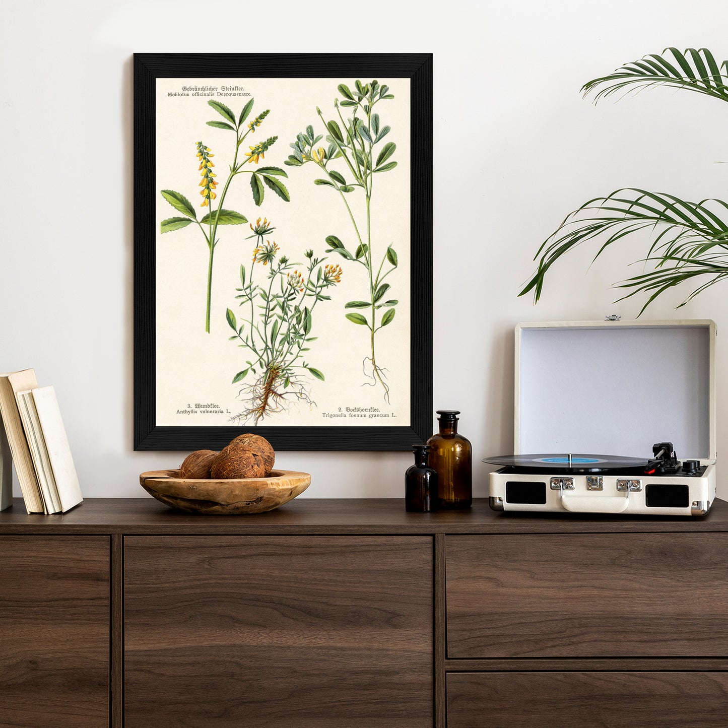 Poster Verschiedene Botanische Pflanzen Rahmen Holz Mit Passepartout Farbe Natürlich