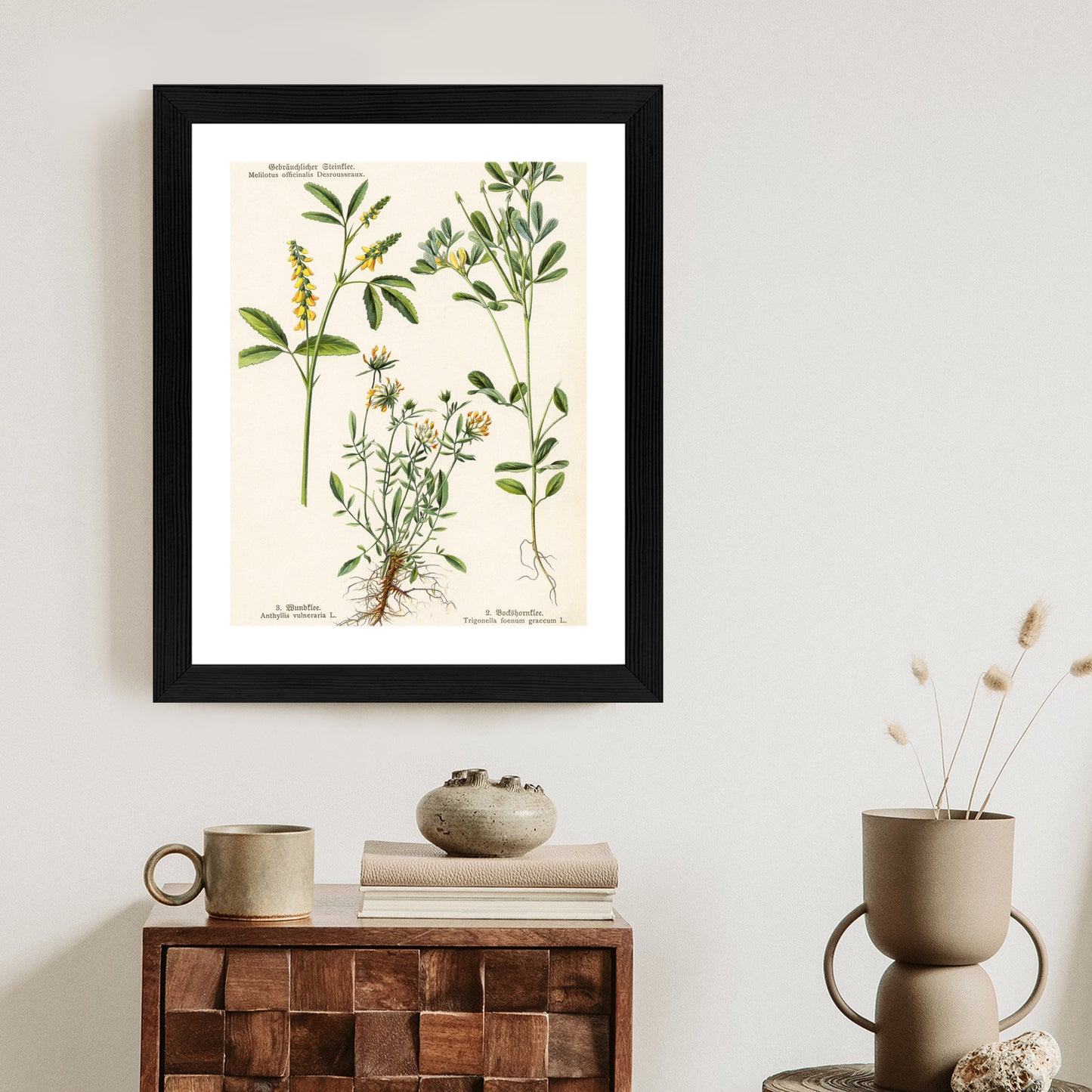 Poster Verschiedene Botanische Pflanzen Rahmen Holz Mit Passepartout Farbe Natürlich
