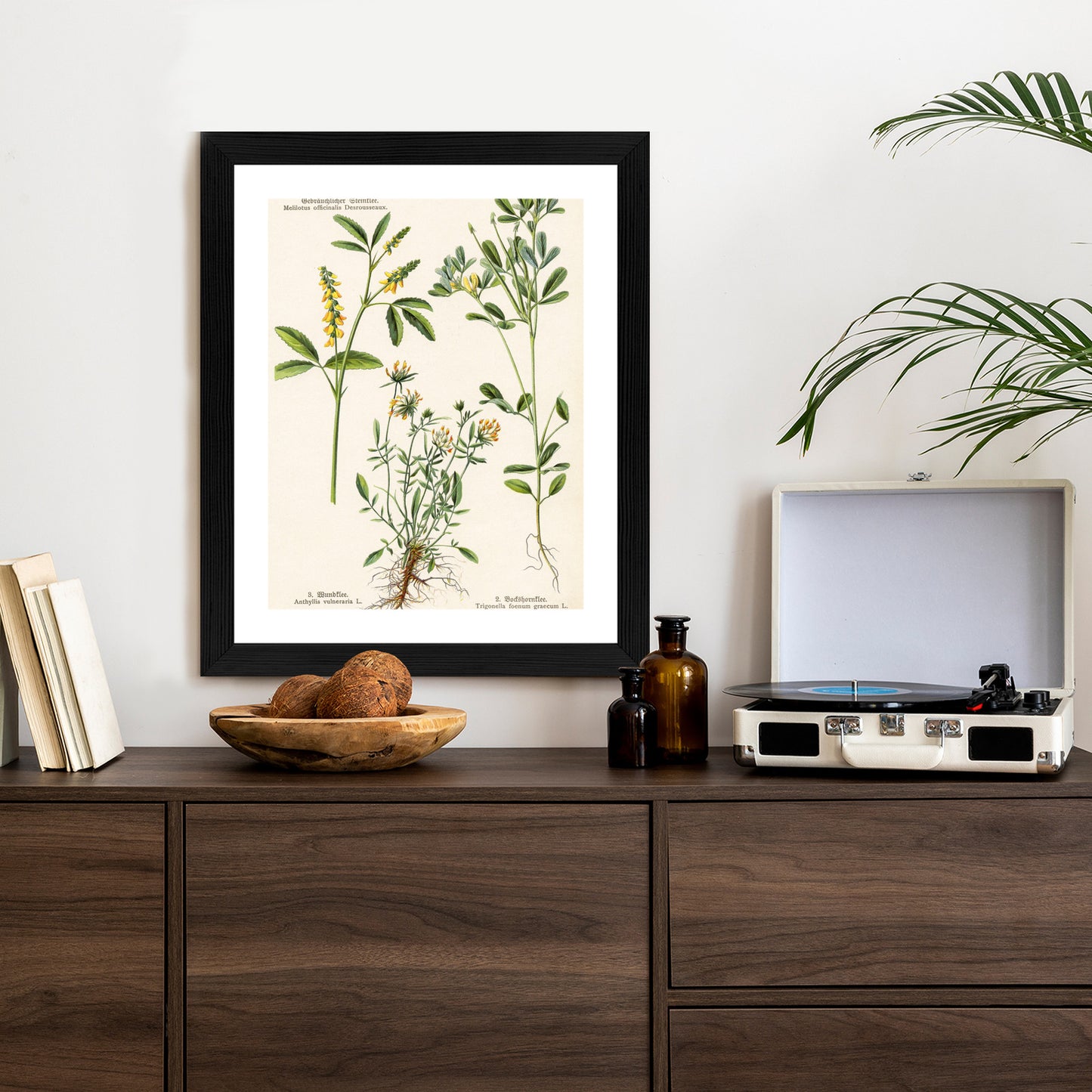 Poster Verschiedene Botanische Pflanzen Rahmen Holz Mit Passepartout Farbe Natürlich