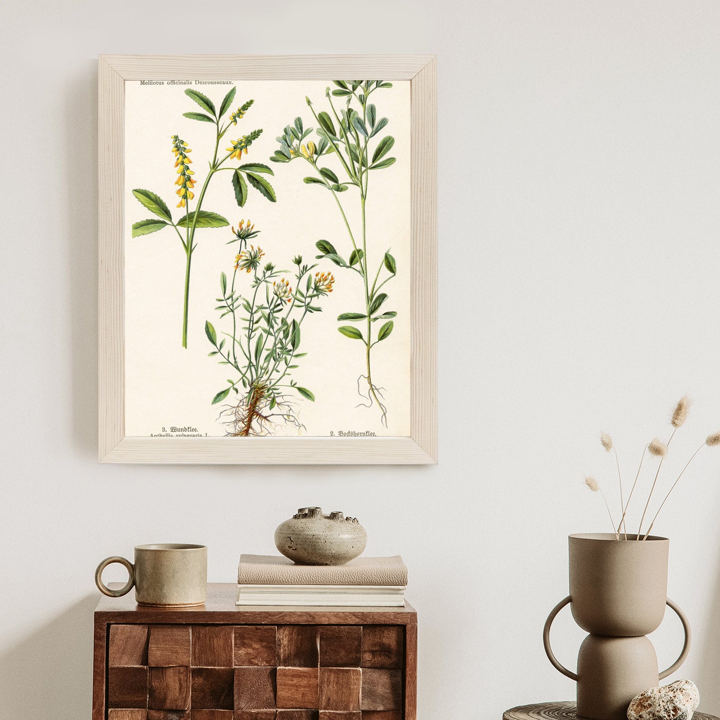 Poster Verschiedene Botanische Pflanzen Rahmen Holz Mit Passepartout Farbe Natürlich