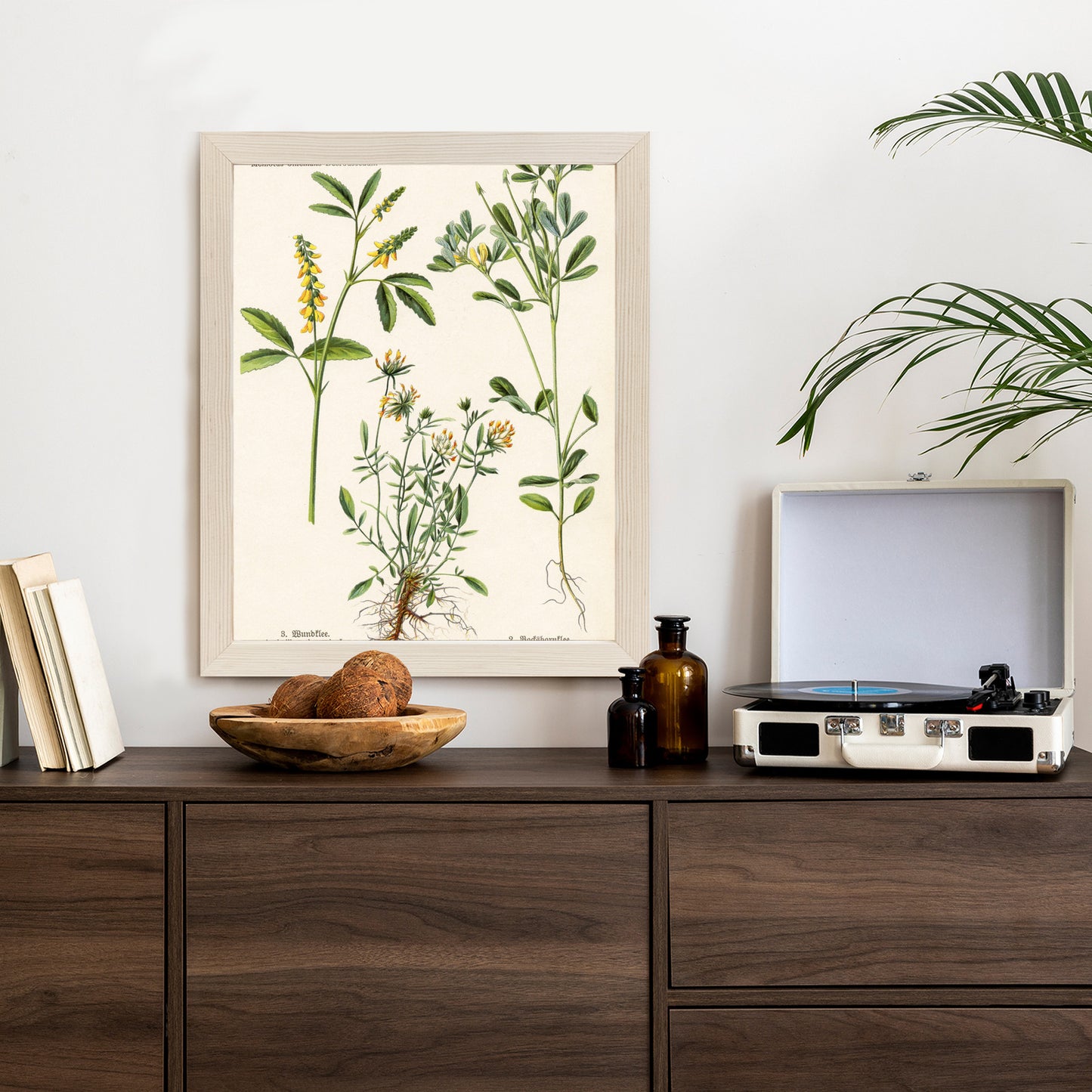 Poster Verschiedene Botanische Pflanzen Rahmen Holz Mit Passepartout Farbe Natürlich