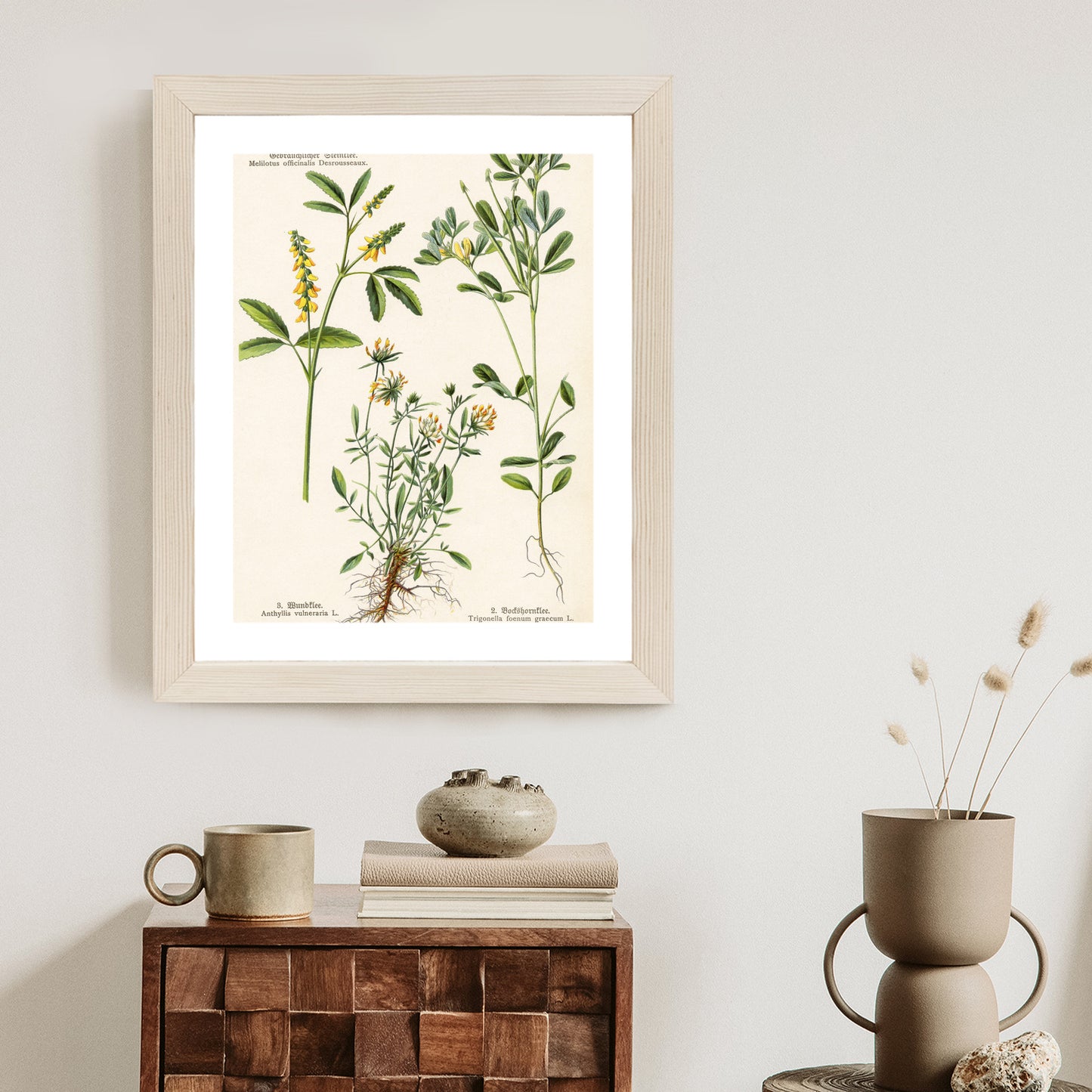Poster Verschiedene Botanische Pflanzen Rahmen Holz Mit Passepartout Farbe Natürlich
