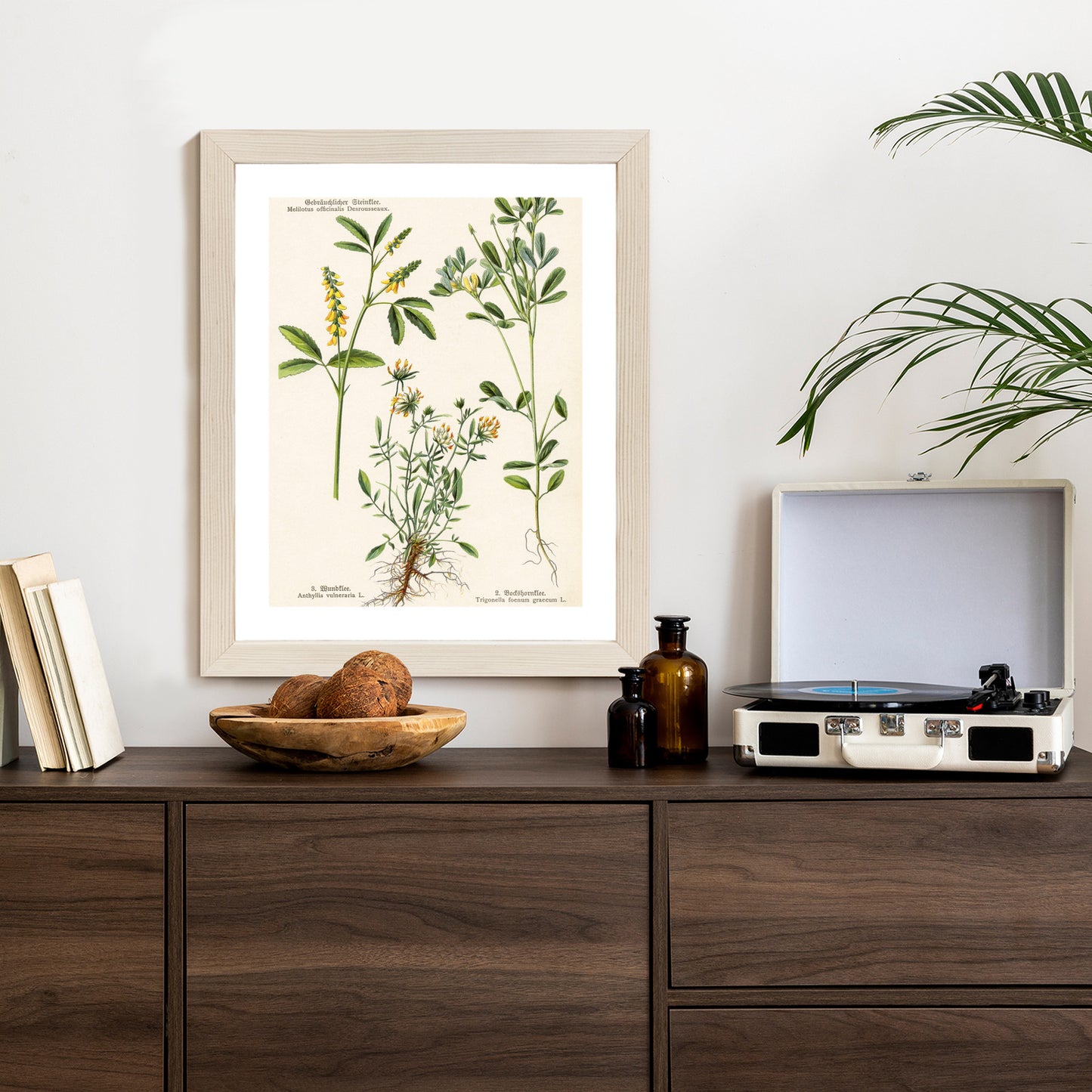 Poster Verschiedene Botanische Pflanzen Rahmen Holz Mit Passepartout Farbe Natürlich